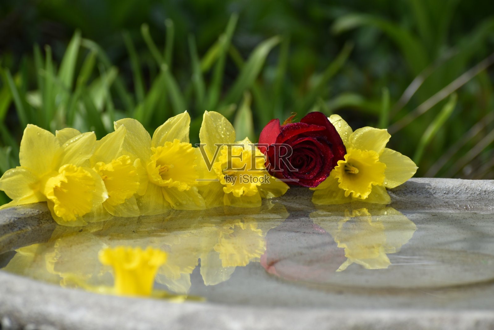 反射照片摄影图片