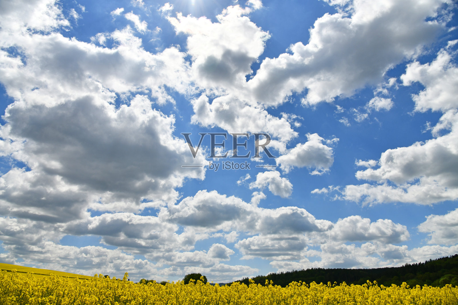 油菜田上的云剧照片摄影图片