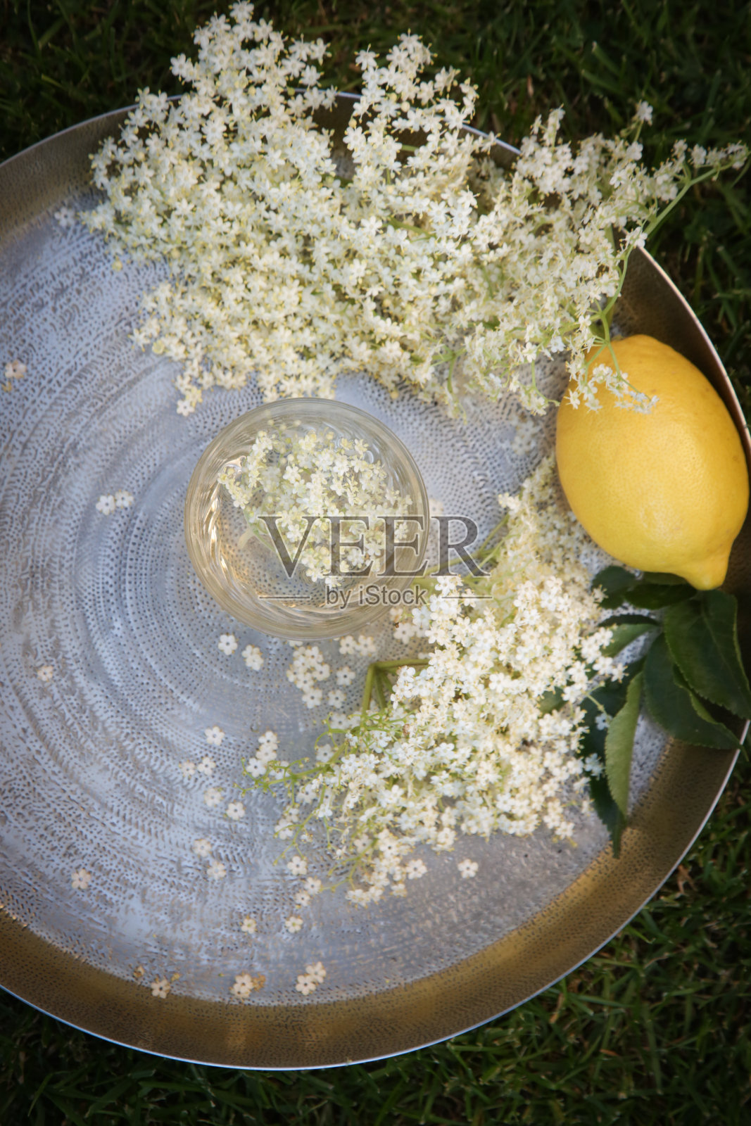 一杯接骨木花汁。照片摄影图片