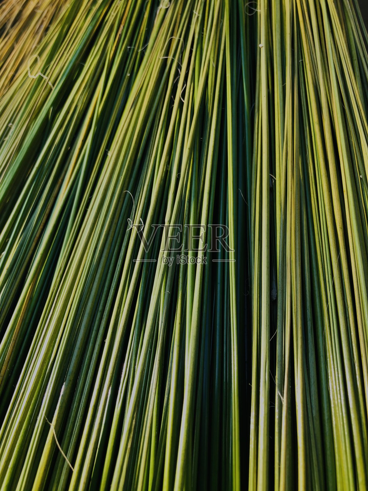 背景照片摄影图片