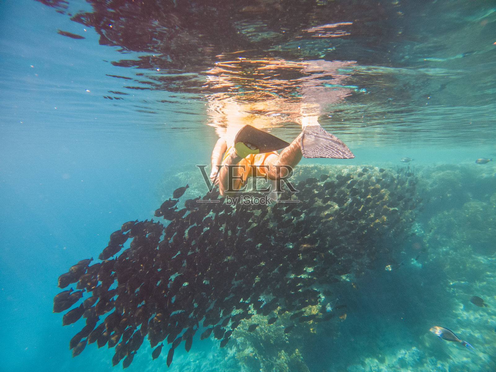 人在热带海洋潜水，水下拍摄照片摄影图片