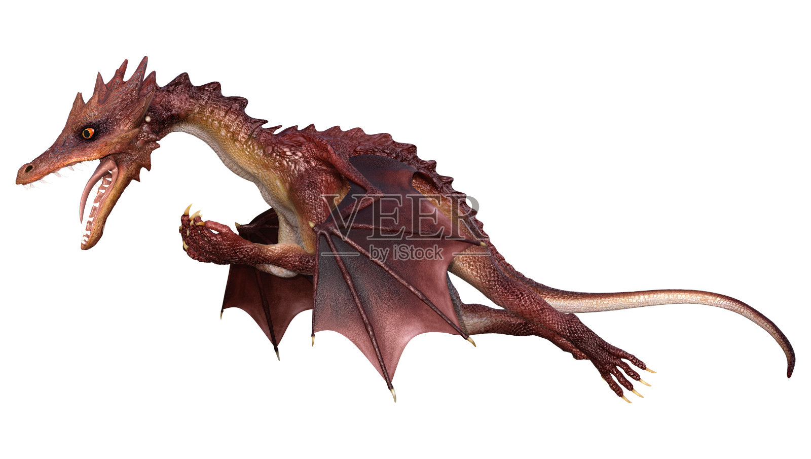 3D插图幻想龙在白色照片摄影图片