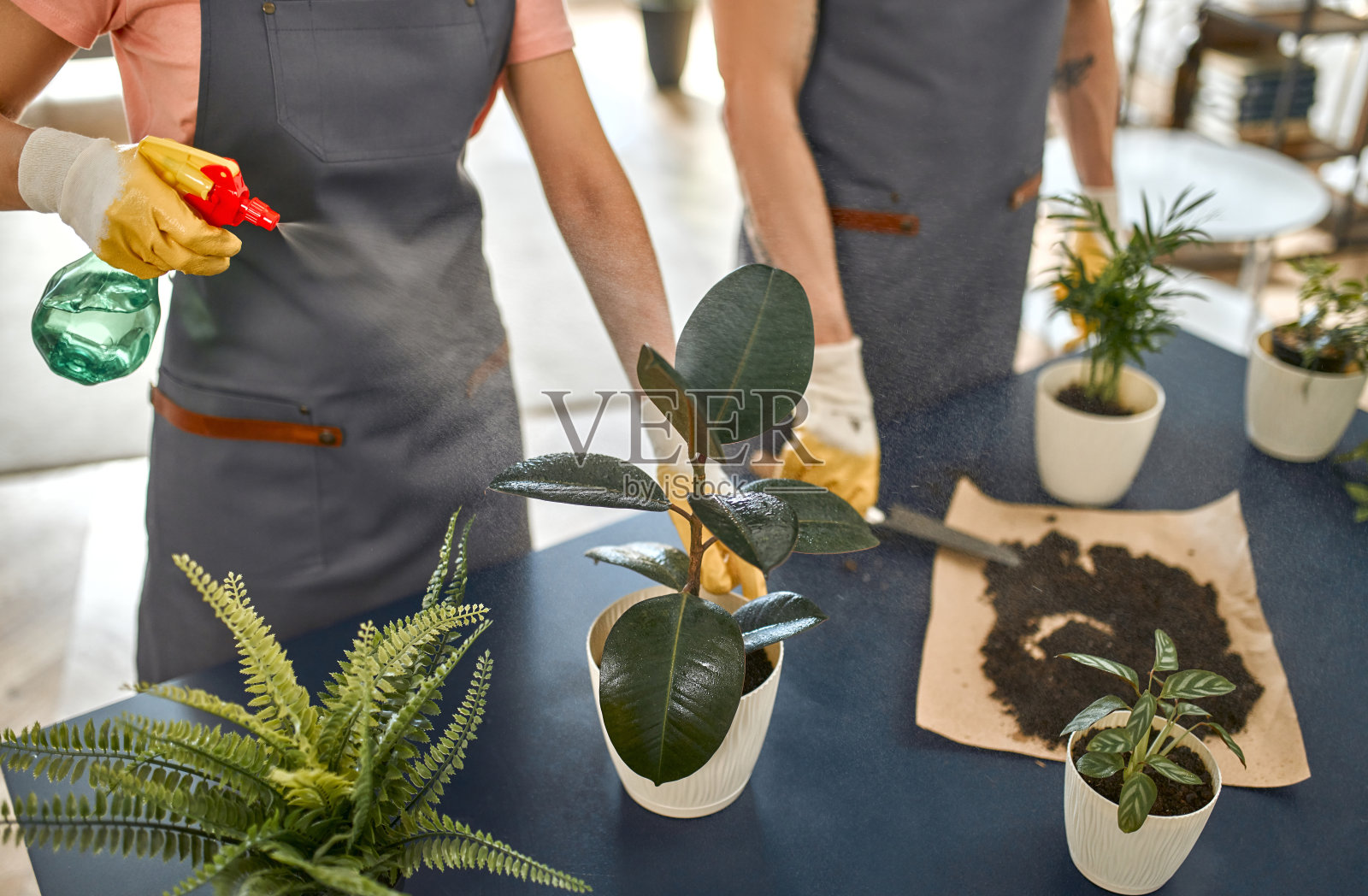 家庭中的成熟夫妇照片摄影图片