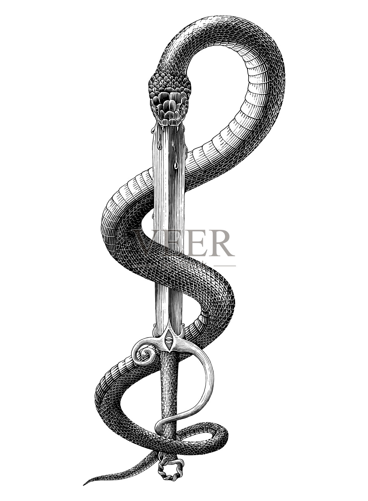 蛇吐剑手画古版画设计元素图片