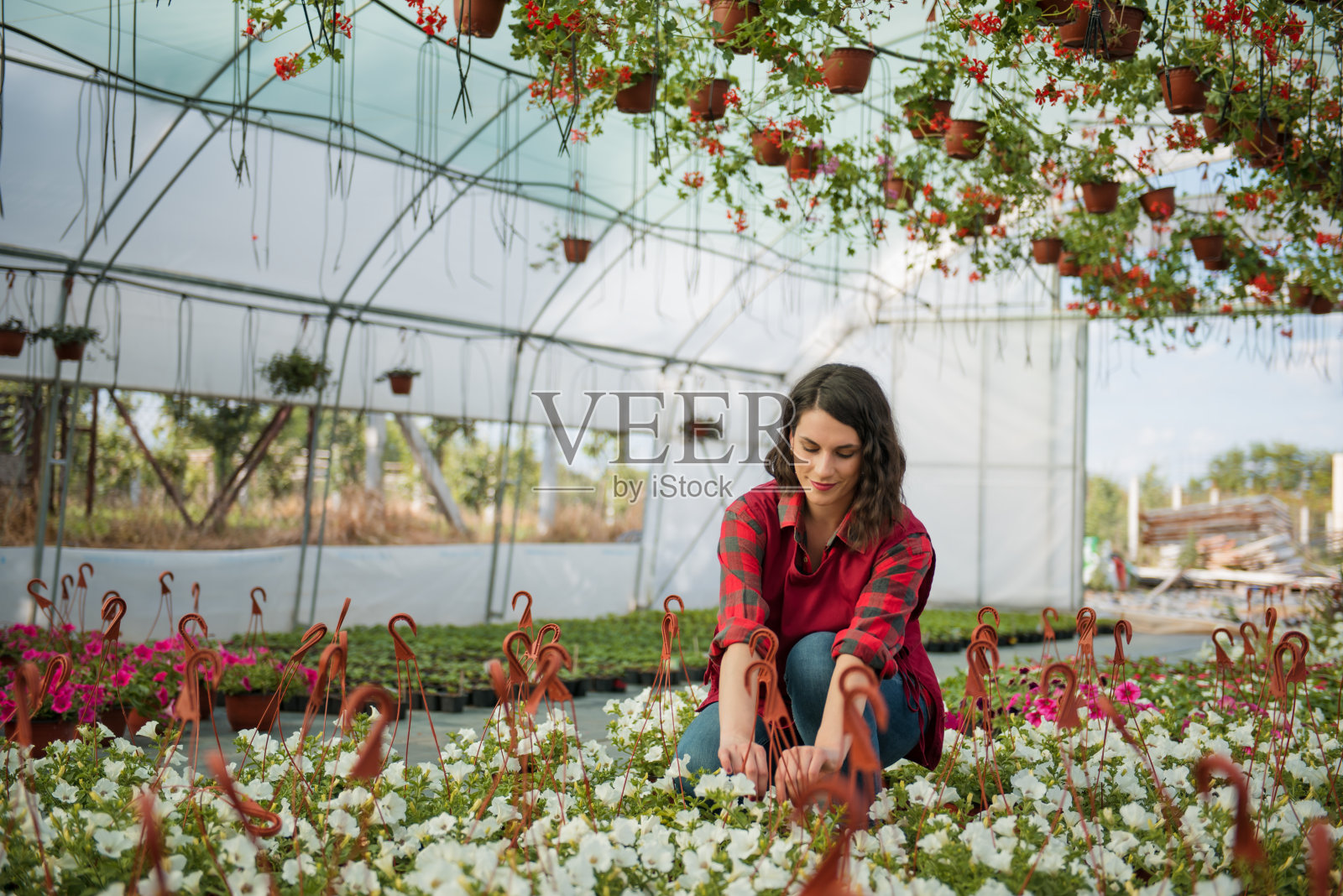 在苗圃工作的妇女照片摄影图片