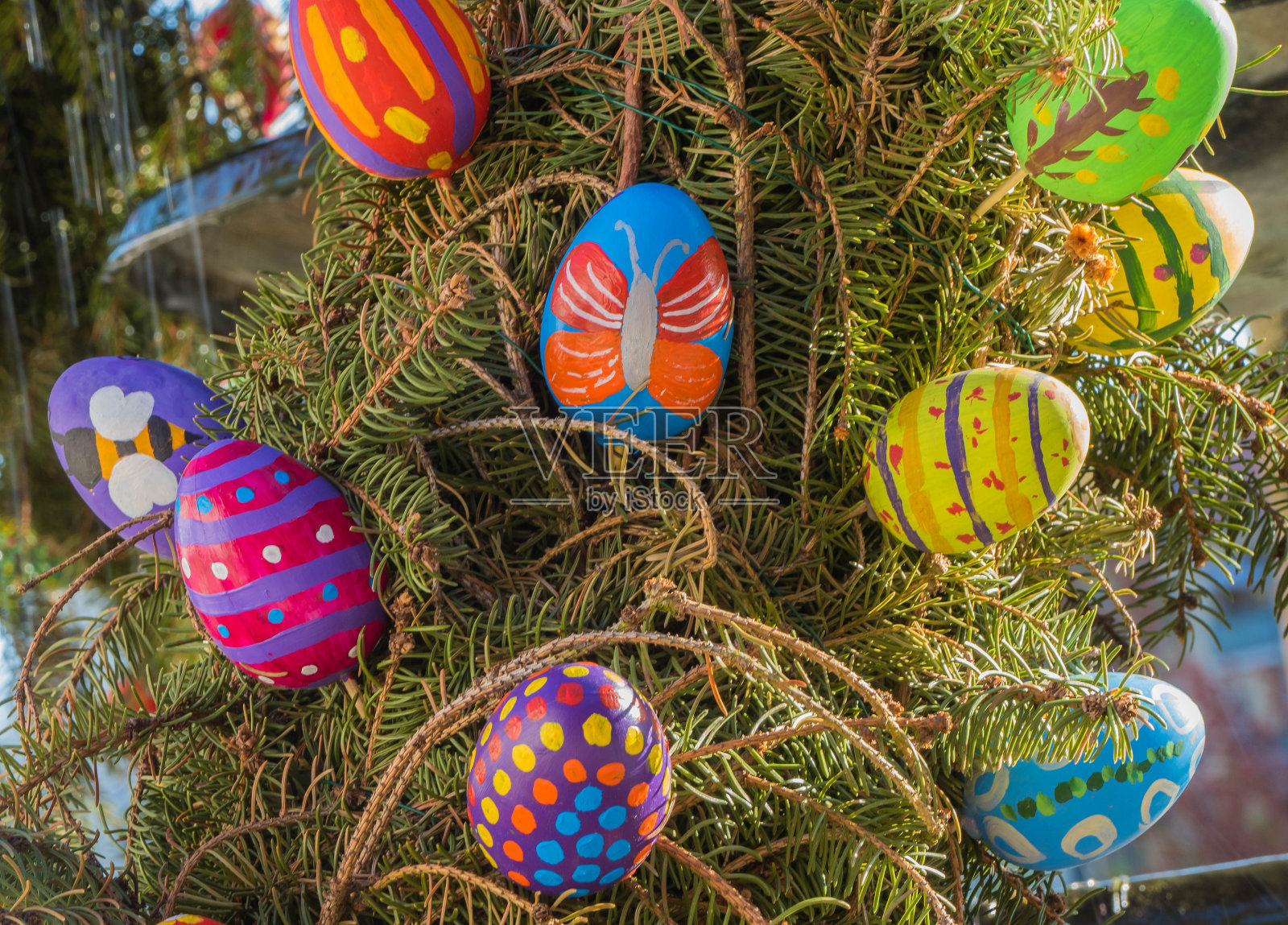 许多人在冷杉树枝上画复活节彩蛋照片摄影图片