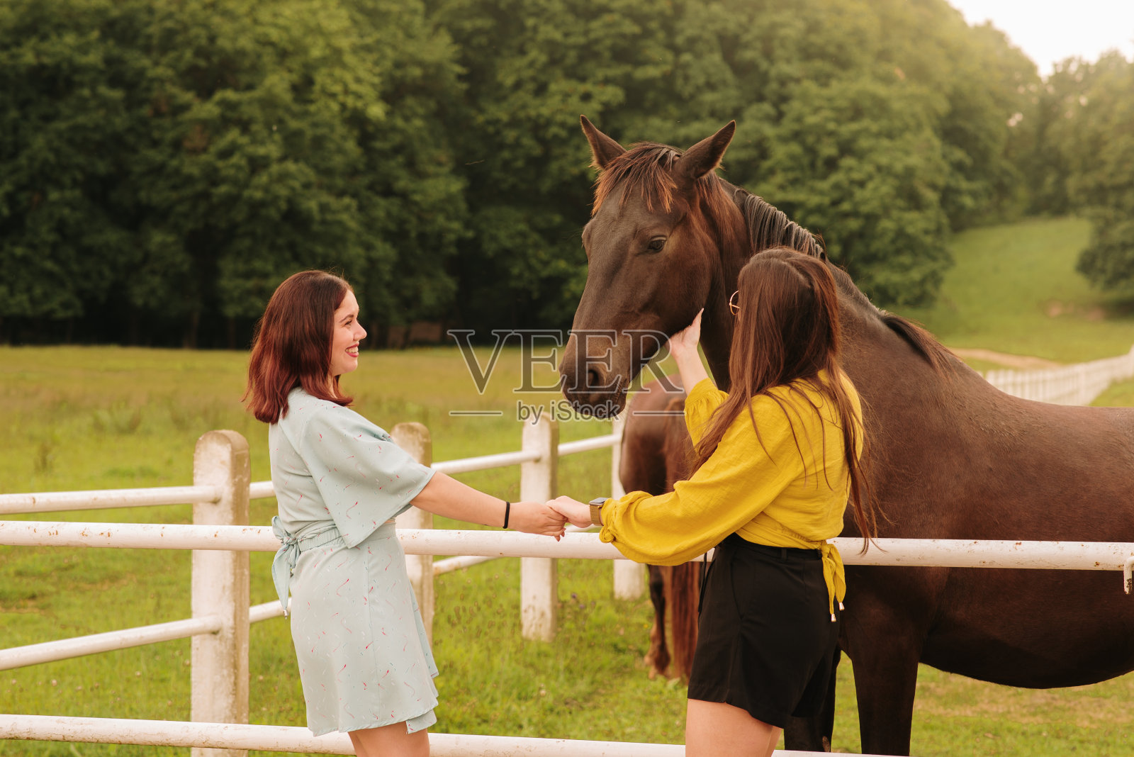 两个年轻女子手牵着手，抚摸着一匹马照片摄影图片