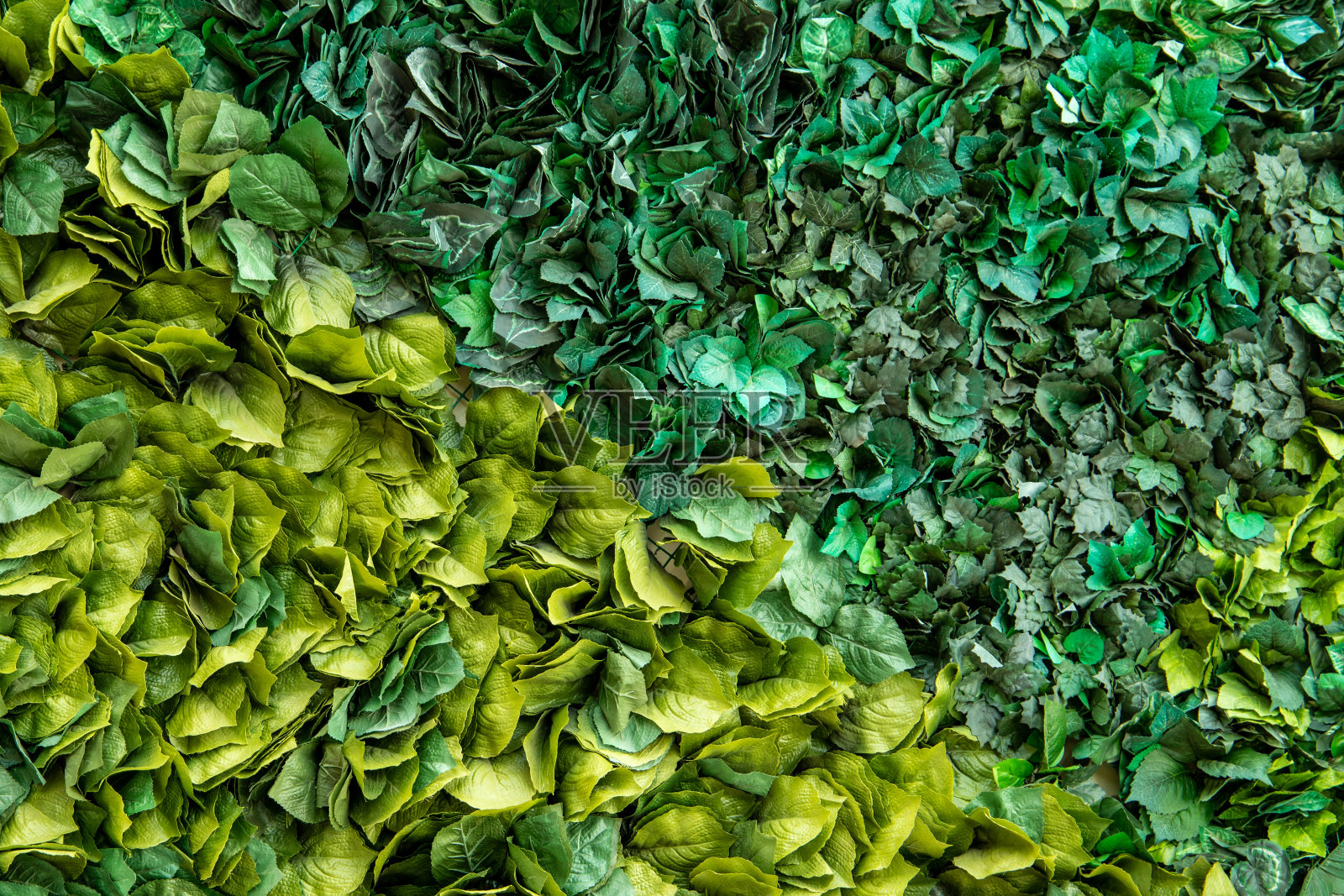 墙面背景上的人工装饰景观照片摄影图片