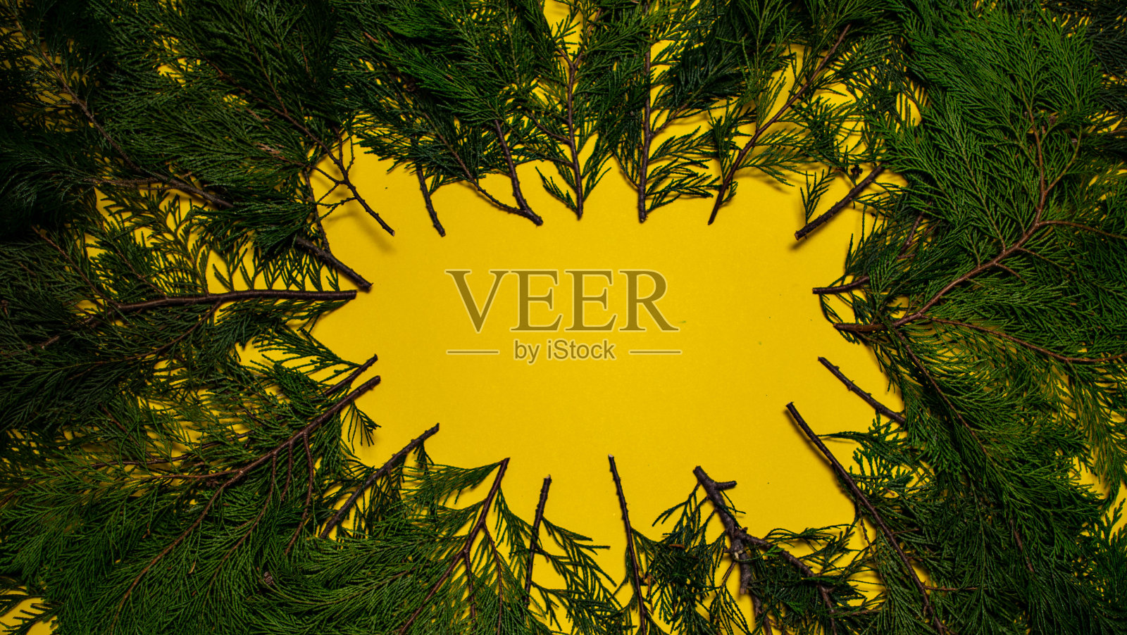 夏季构图，枝叶以黄色为背景。平躺，俯视图股票照片照片摄影图片