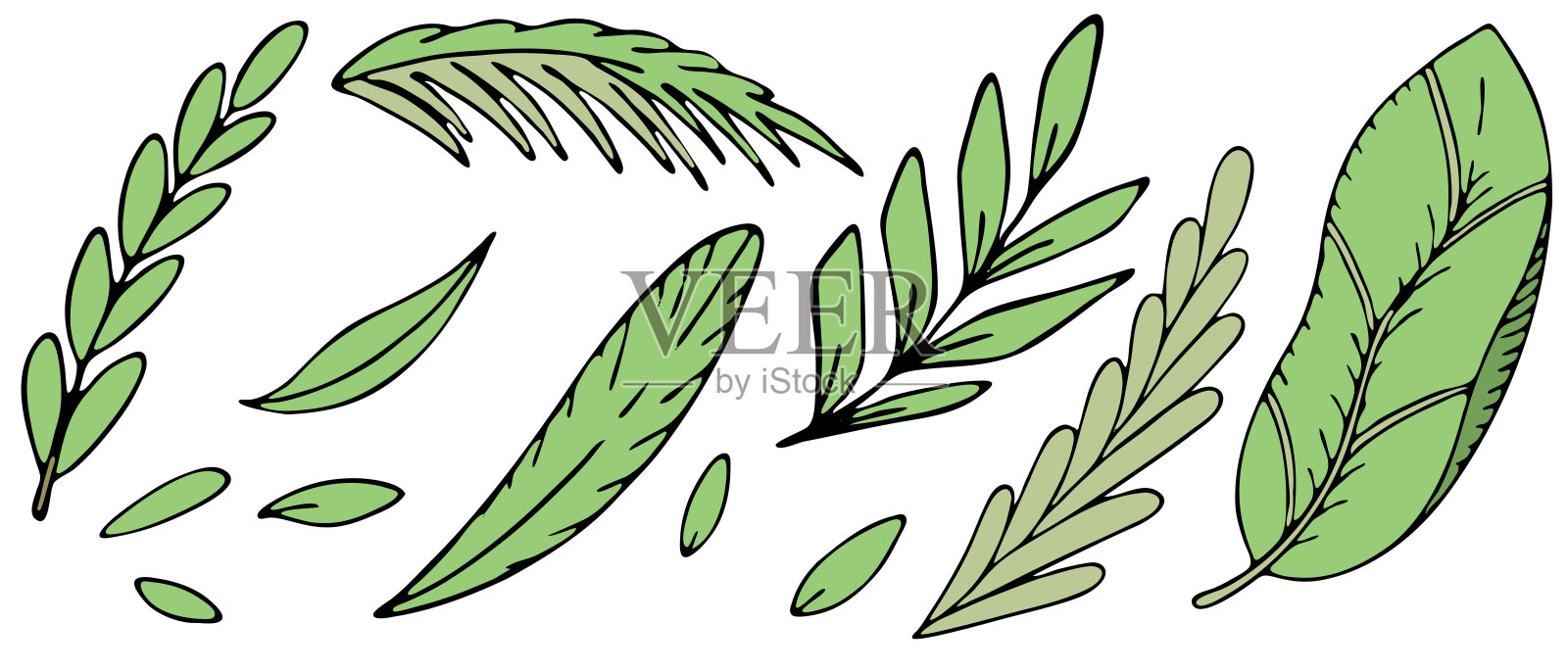 一套绿色的热带绿叶，向量一套彩色涂鸦元素插画图片素材