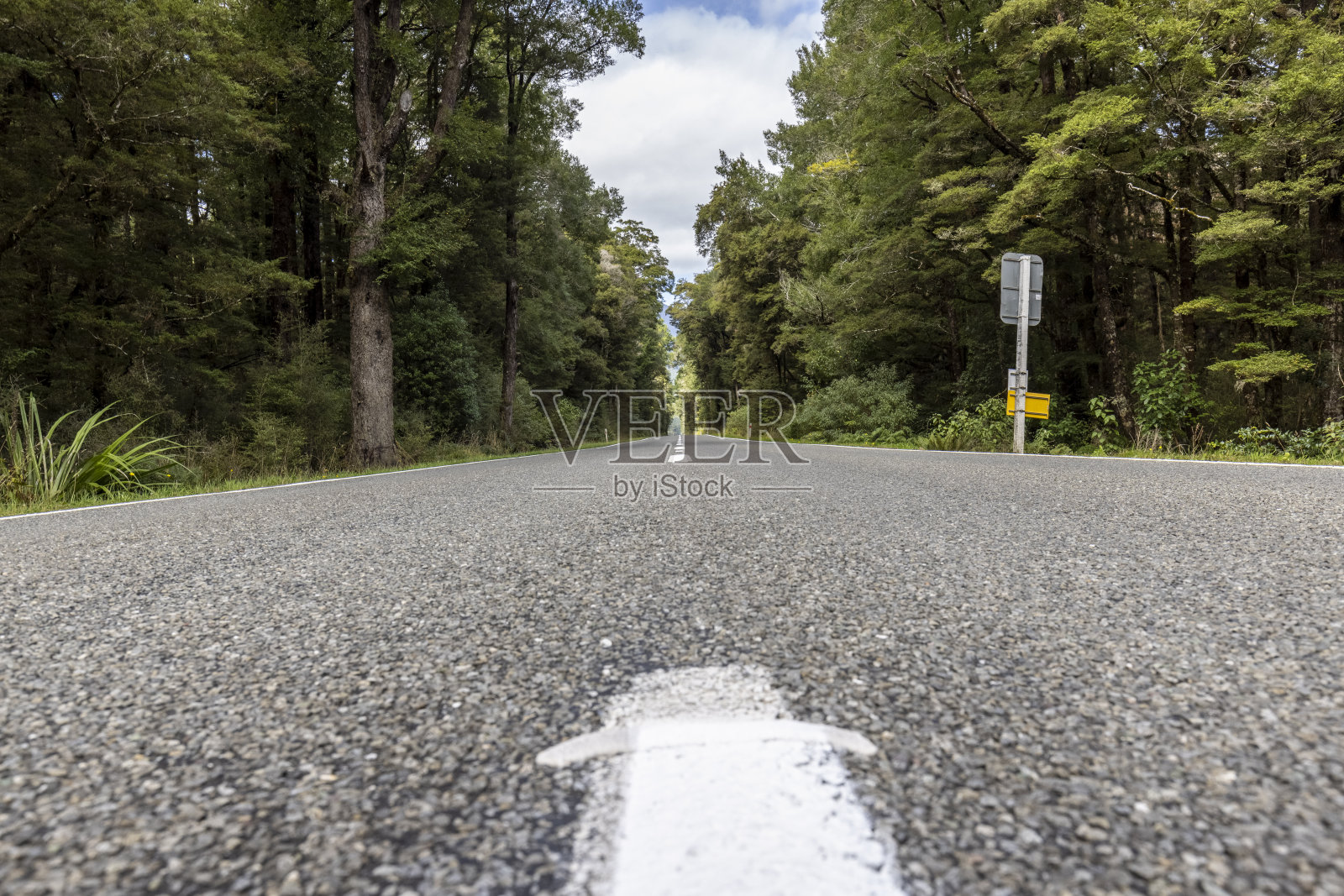 国家,新西兰照片摄影图片