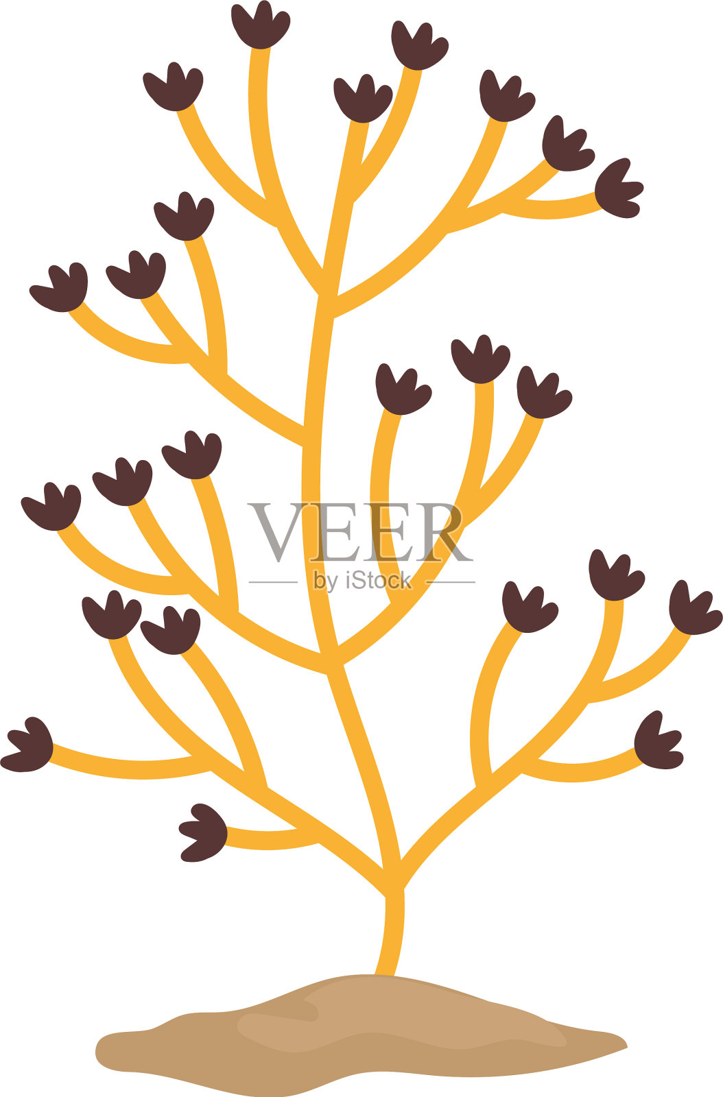 黄色的海藻，自然的叶子，海洋生物设计元素图片