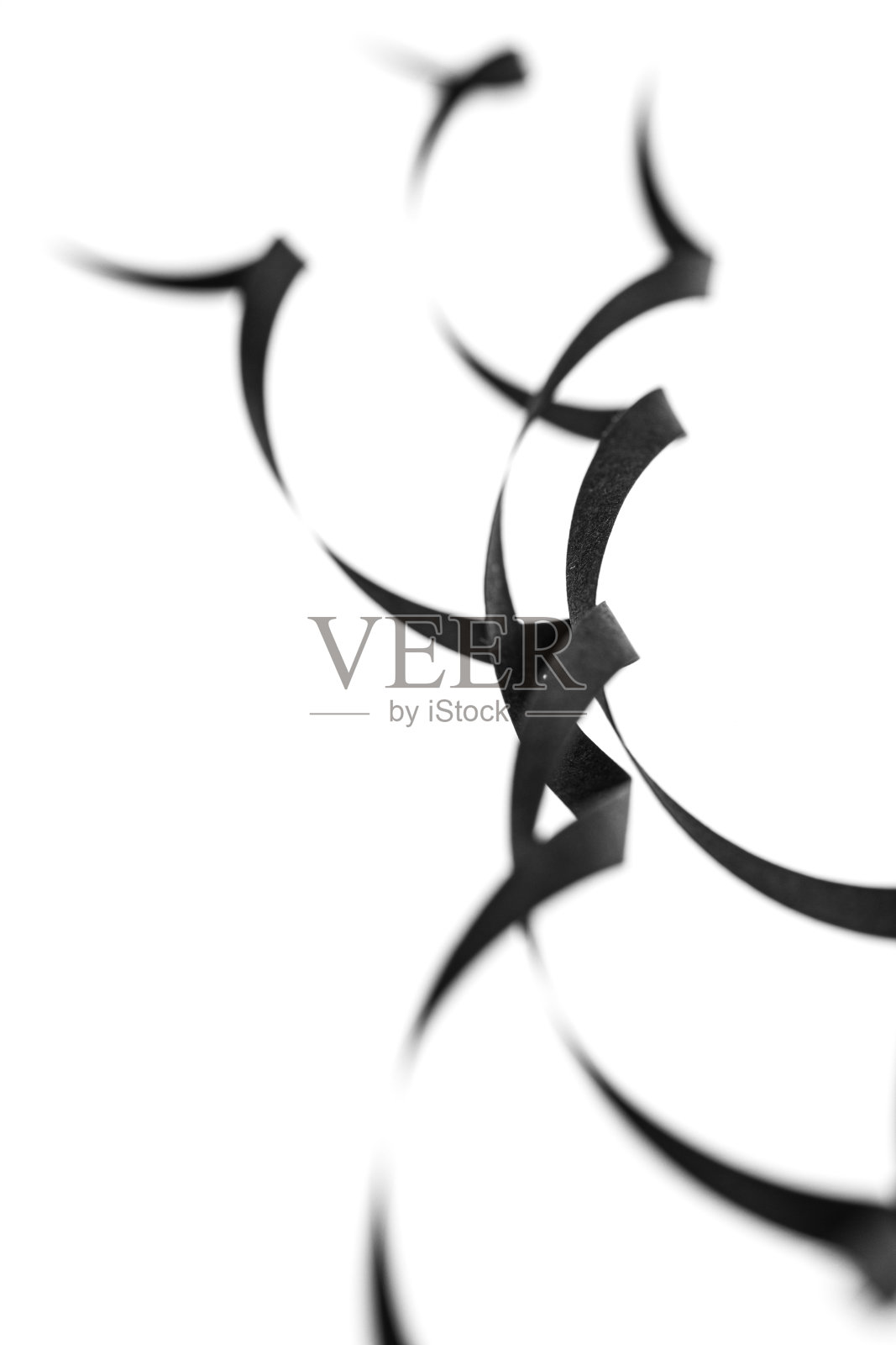 卷曲的黑色丝带。抽象的艺术模式。设计理念。为室内设计办公室提供解决方案。微距镜头特写镜头1:1。单色图像。照片摄影图片