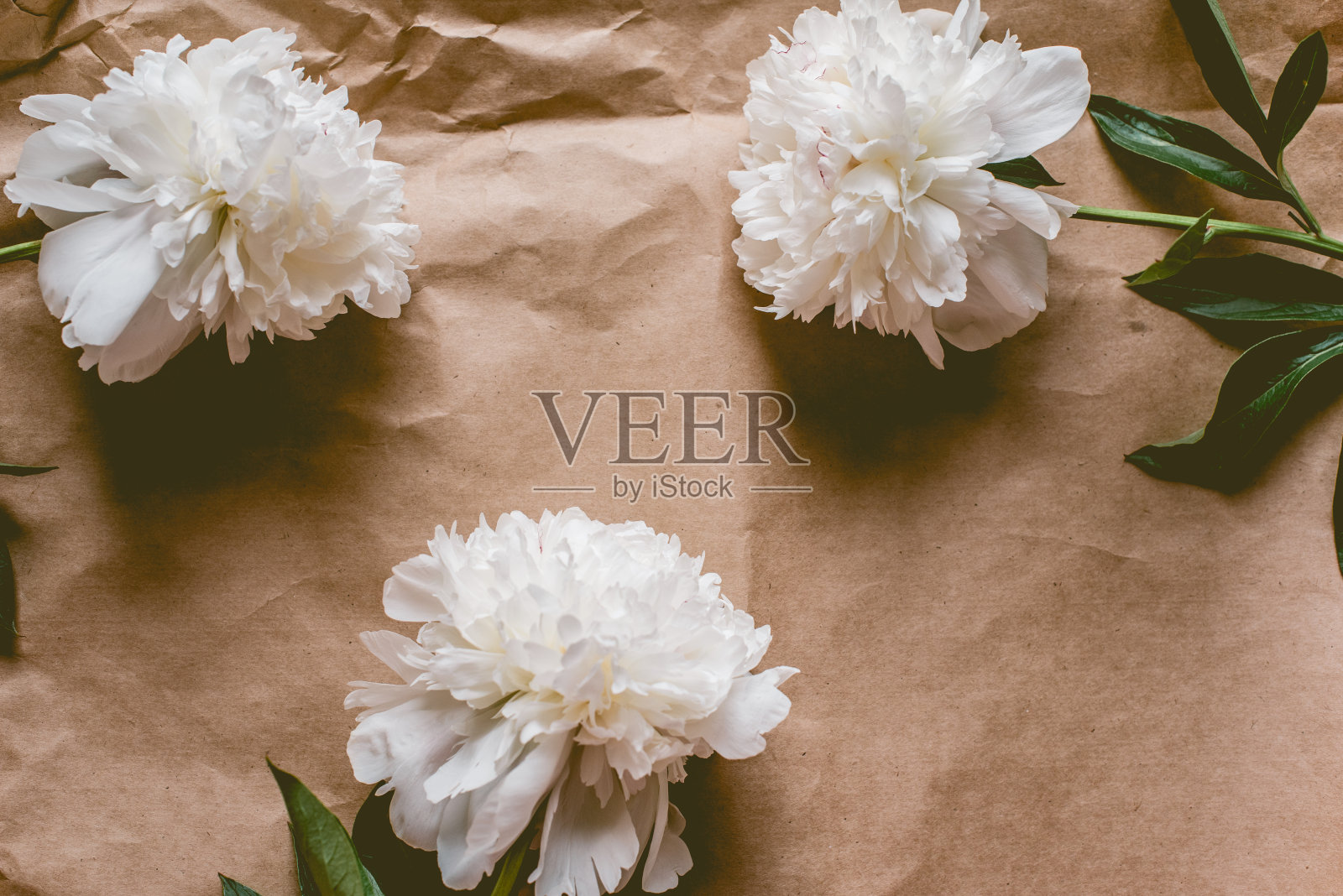 白牡丹图案在牛皮纸背景与复制空间，平铺照片摄影图片