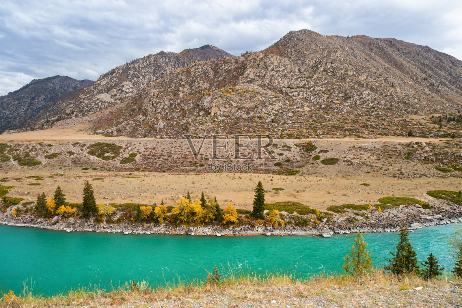 秋天碧绿的卡顿河和阿尔泰山景色。阿尔泰共和国、俄罗斯。照片摄影图片