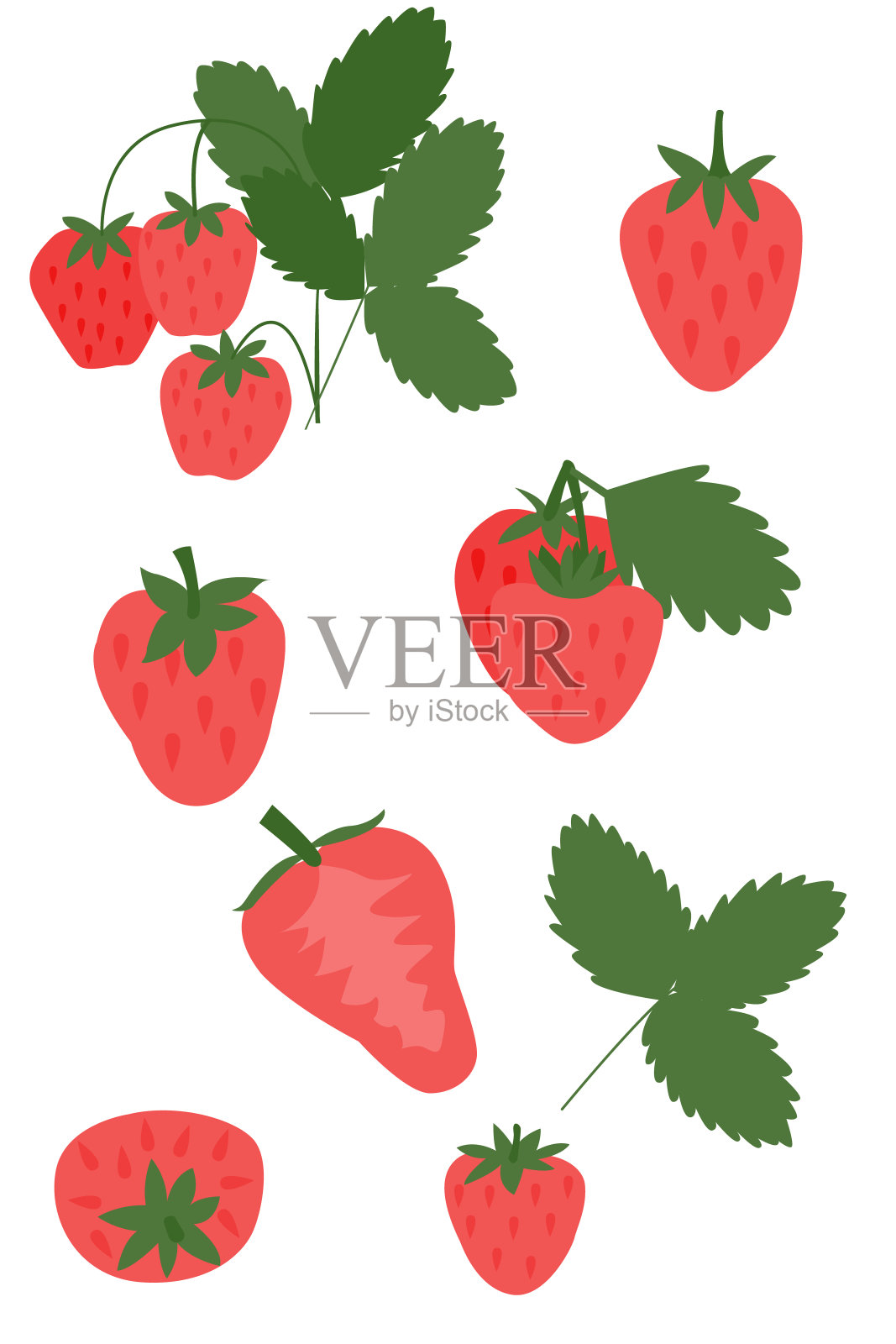 白色背景上的草莓，矢量插图。插画图片素材