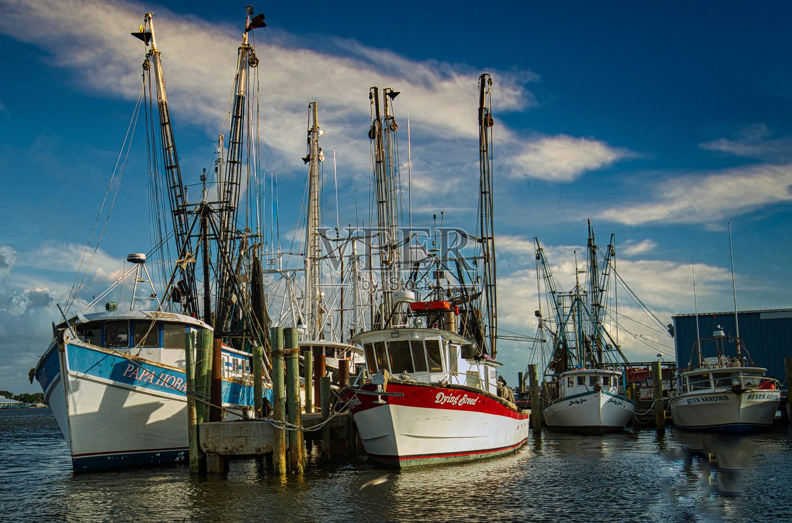 梅波特佛罗里达州钓鱼码头照片摄影图片