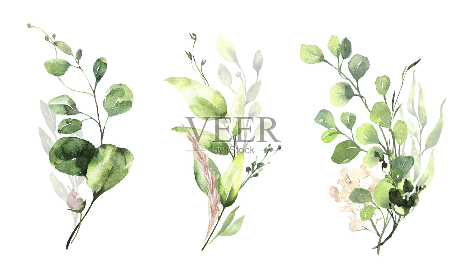 水彩花卉插图集-绿色桉树叶树枝收集，粉红色的花为婚礼邀请，贺卡，壁纸，背景。桉树、绿叶插画图片素材