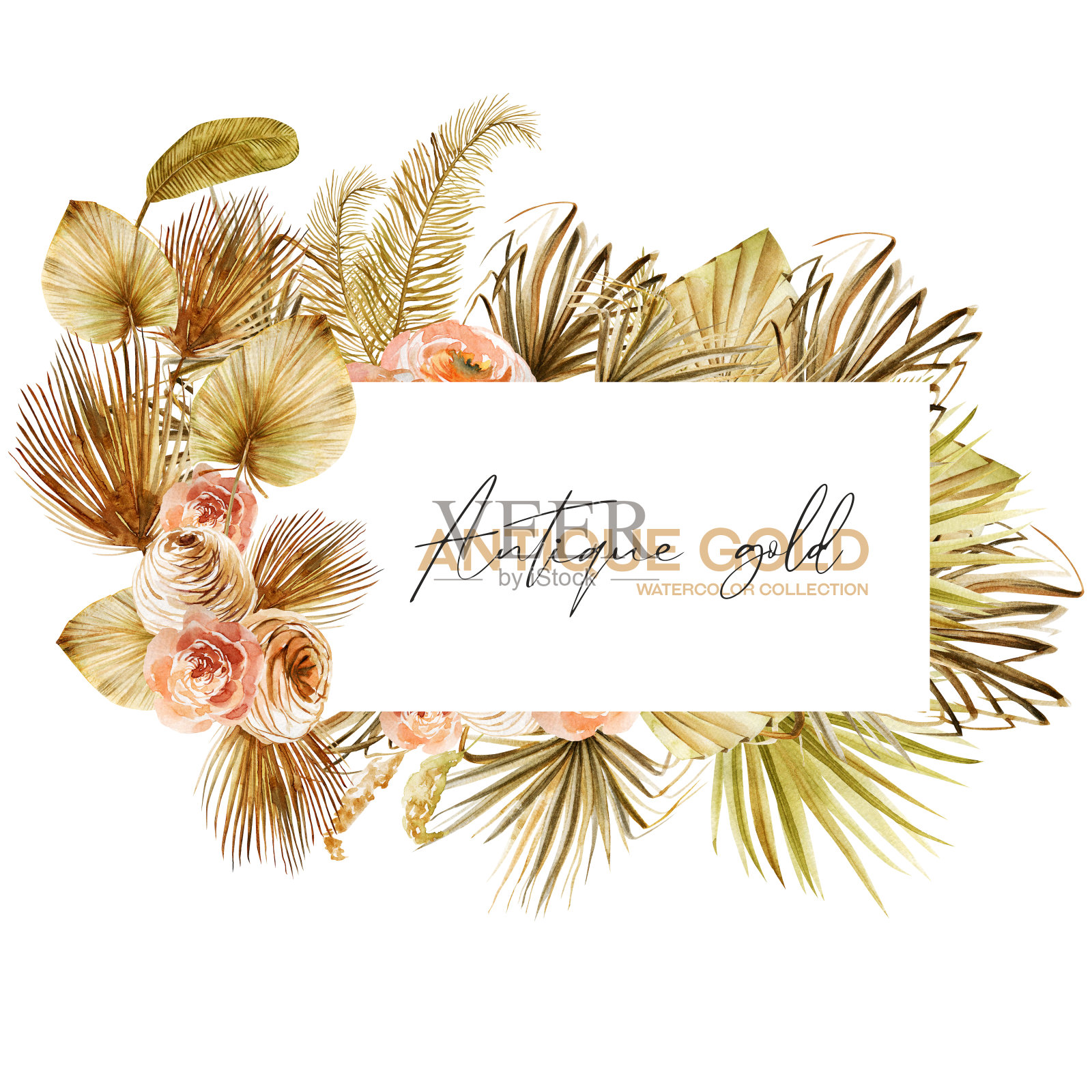 框架装饰水彩干玫瑰和干扇棕榈叶，手绘孤立的插图插画图片素材