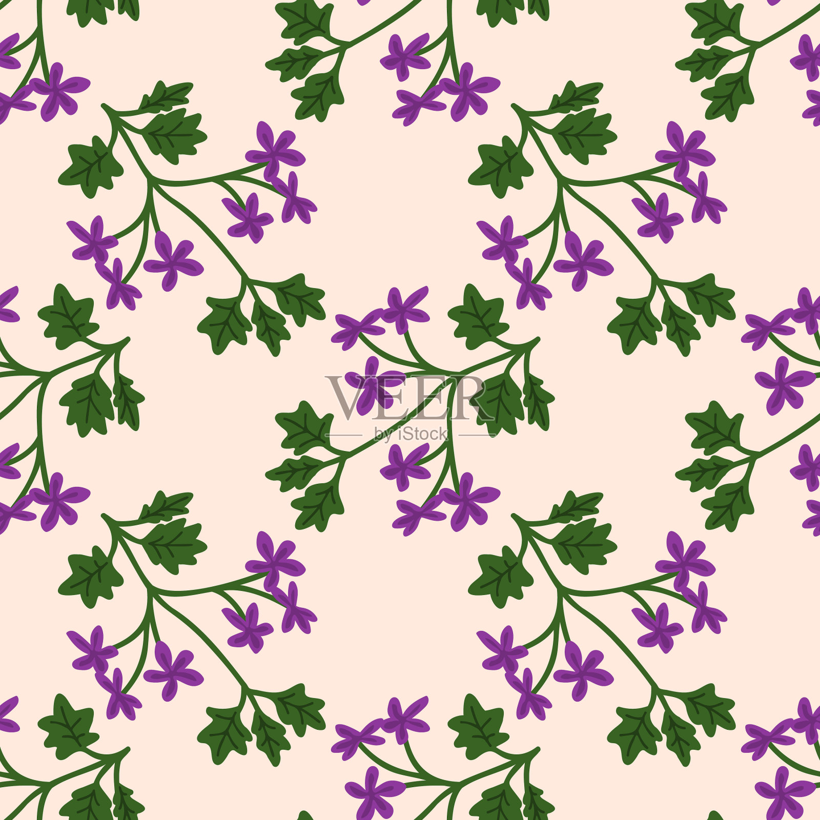 无缝的天竺葵模式插画图片素材