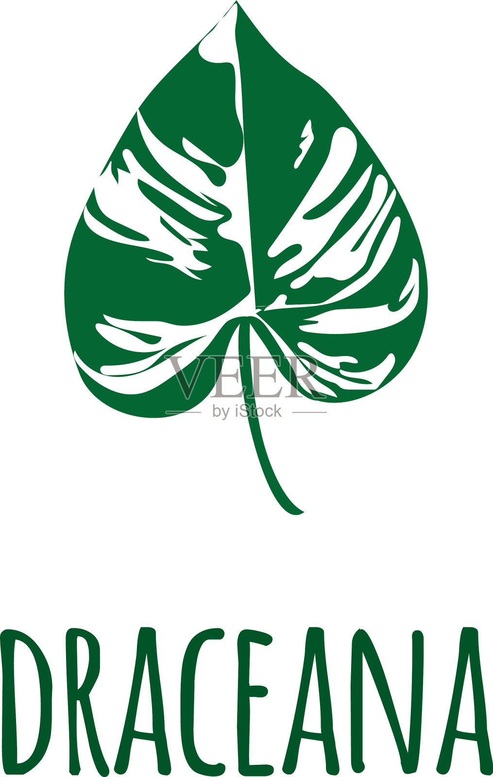 孤立的热带丛林绿色棕榈叶插画图片素材