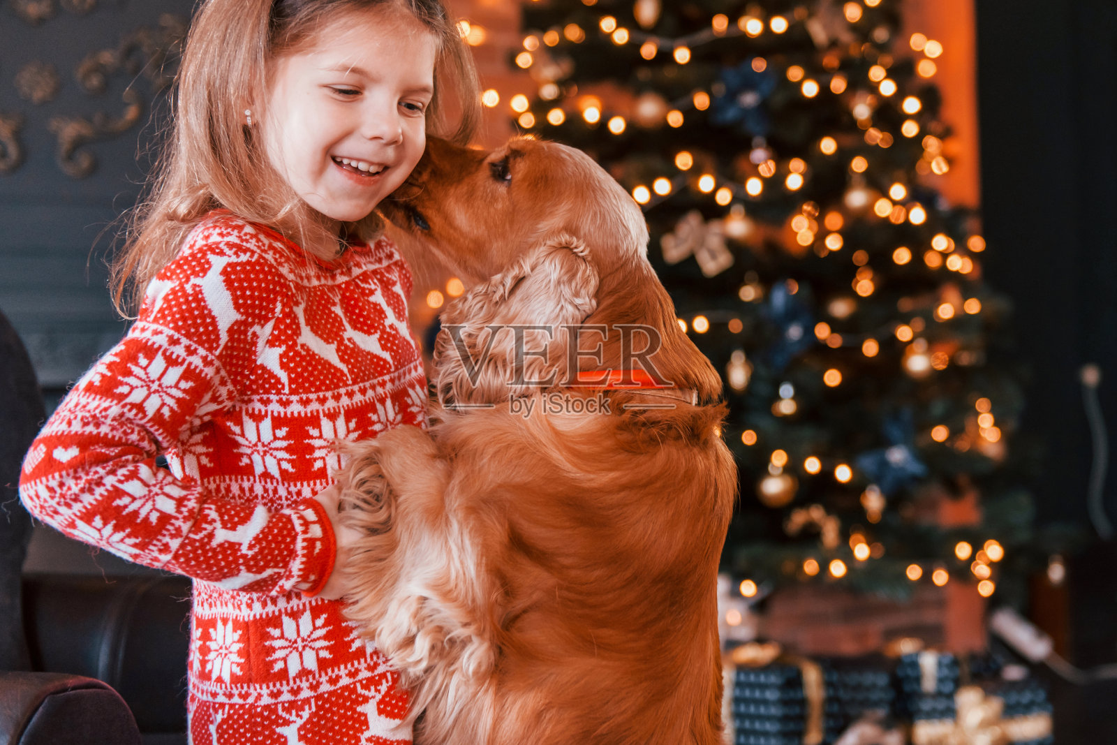 可爱的小女孩和小狗一起在圣诞装饰的房间里照片摄影图片