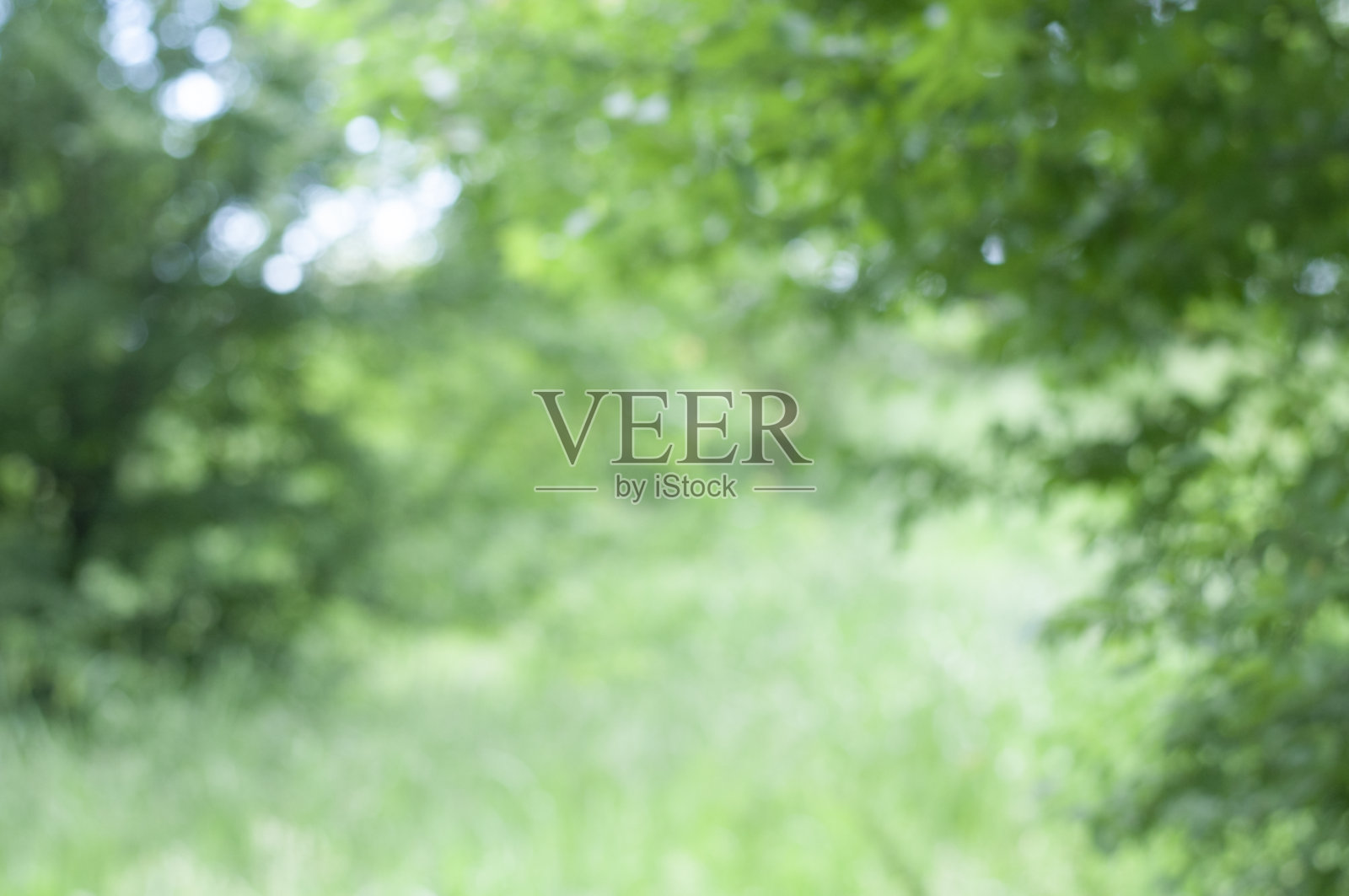 自然模糊的背景与散景灯光照片摄影图片