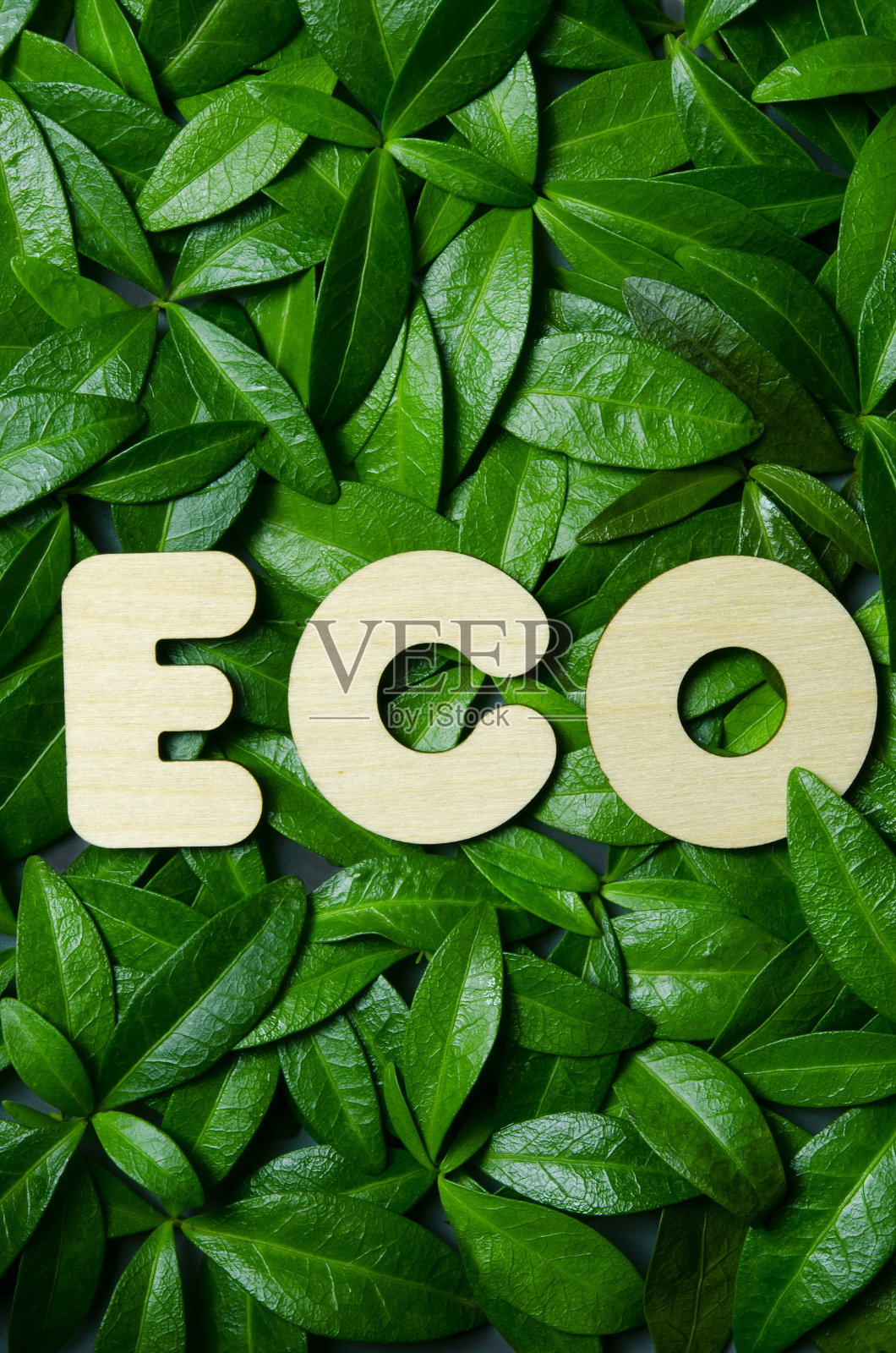 世界环境日横幅。生态垂直概念与木质字母。照片摄影图片