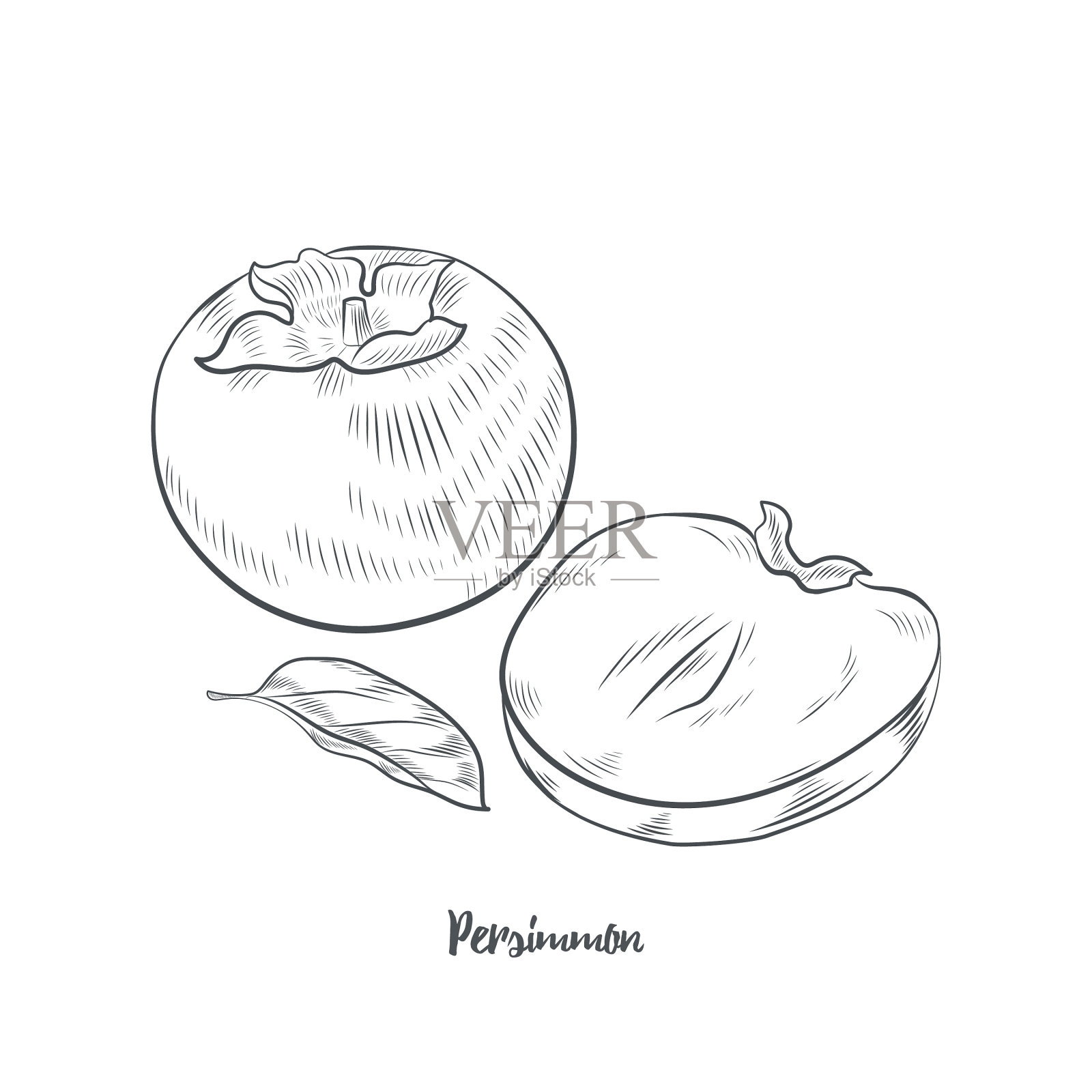 柿果草图设计元素图片