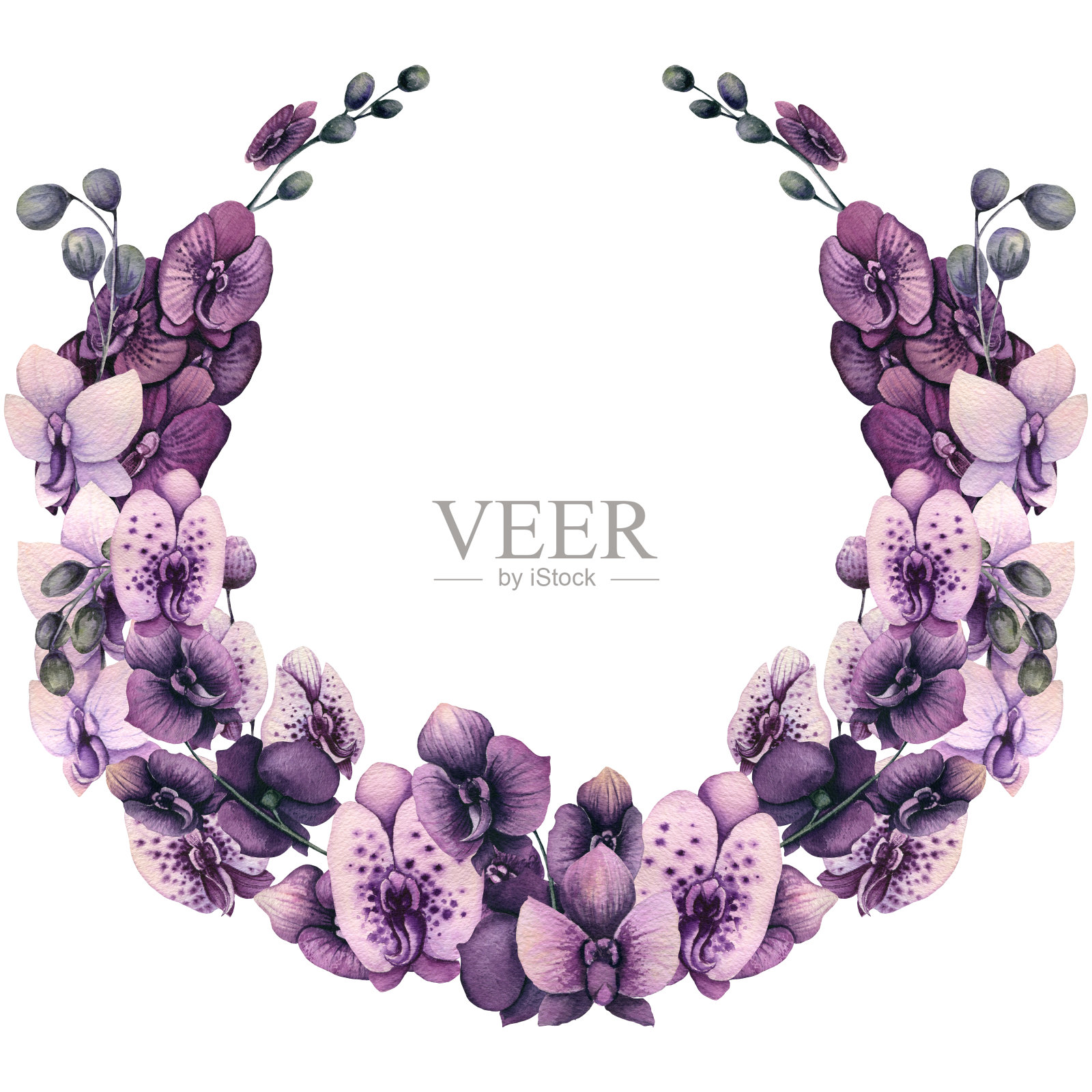 热带水彩兰花花环插画图片素材