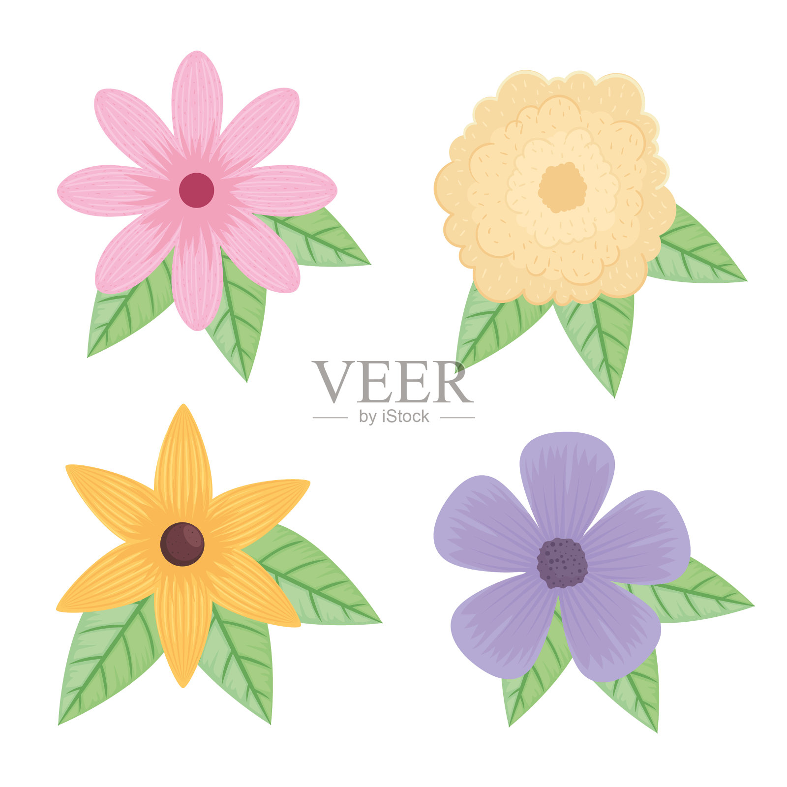 把四朵花和叶子绑在一起插画图片素材