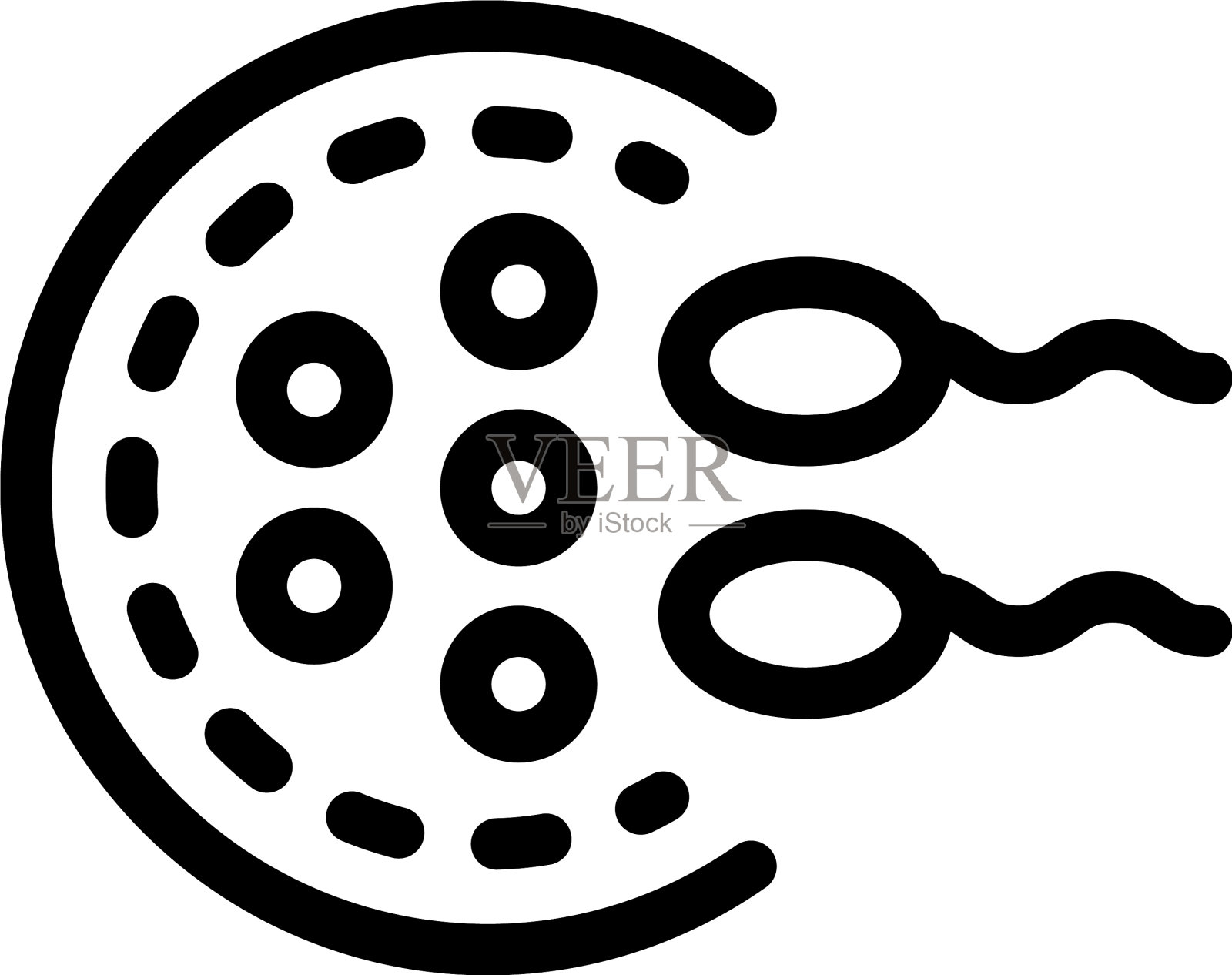 生殖插画图片素材