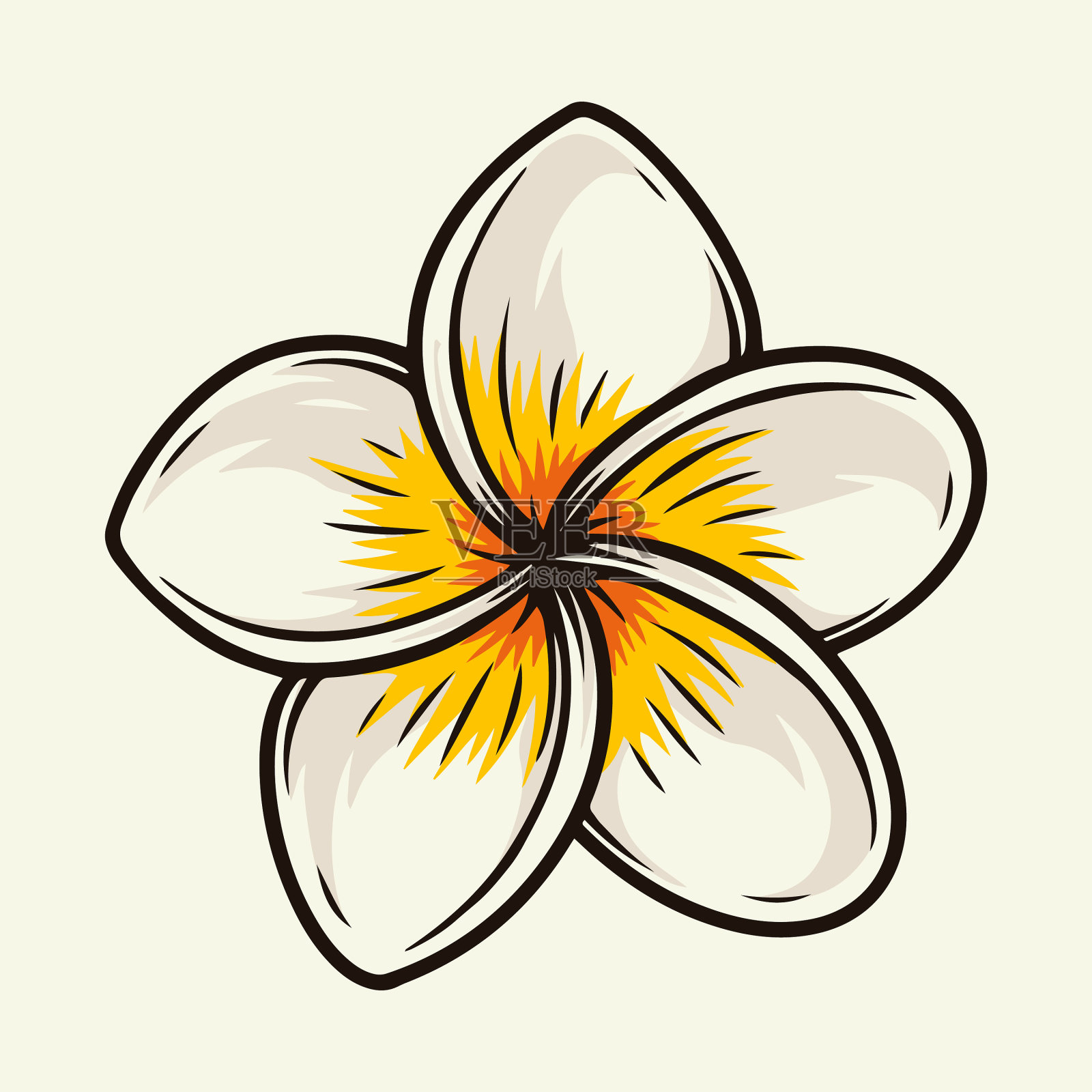 五彩缤纷的鸡蛋花热带花卉插画图片素材