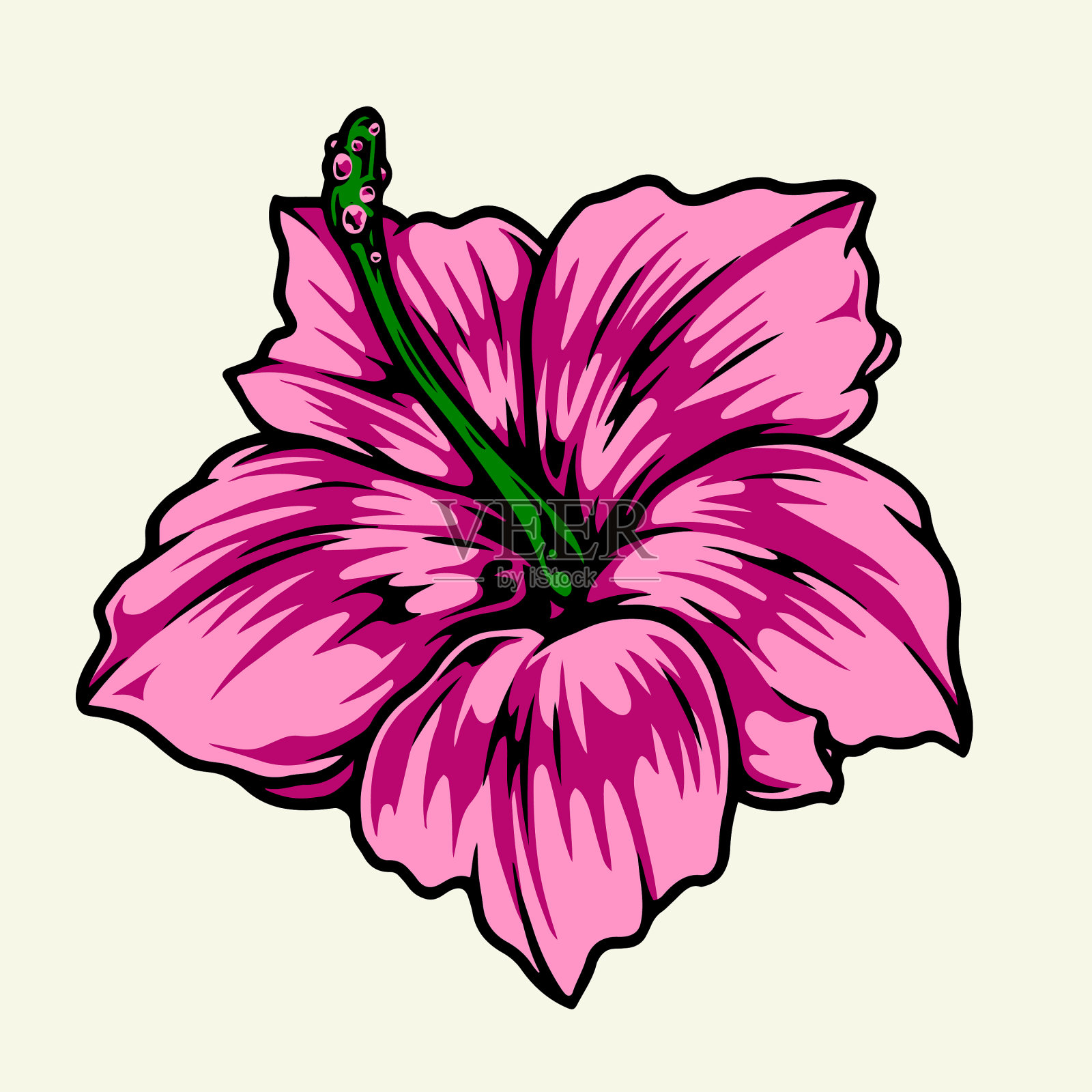 美丽的芙蓉花五彩缤纷的概念插画图片素材