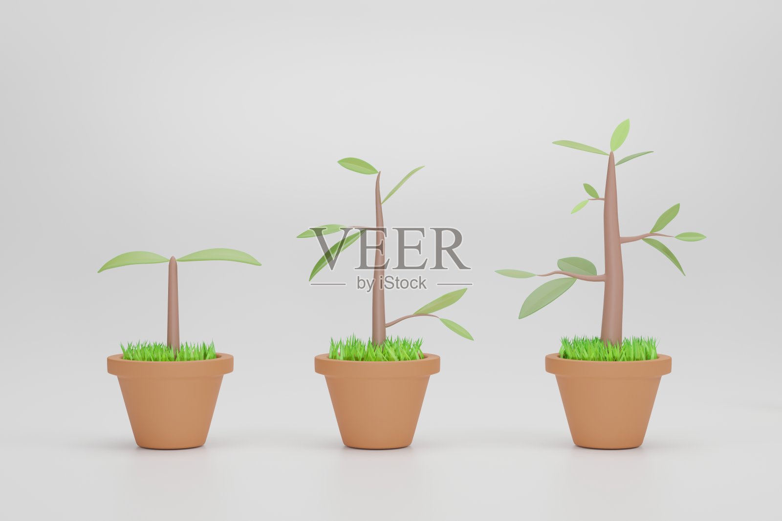 树木生长图。在白色背景上孤立的植物生长阶段照片摄影图片