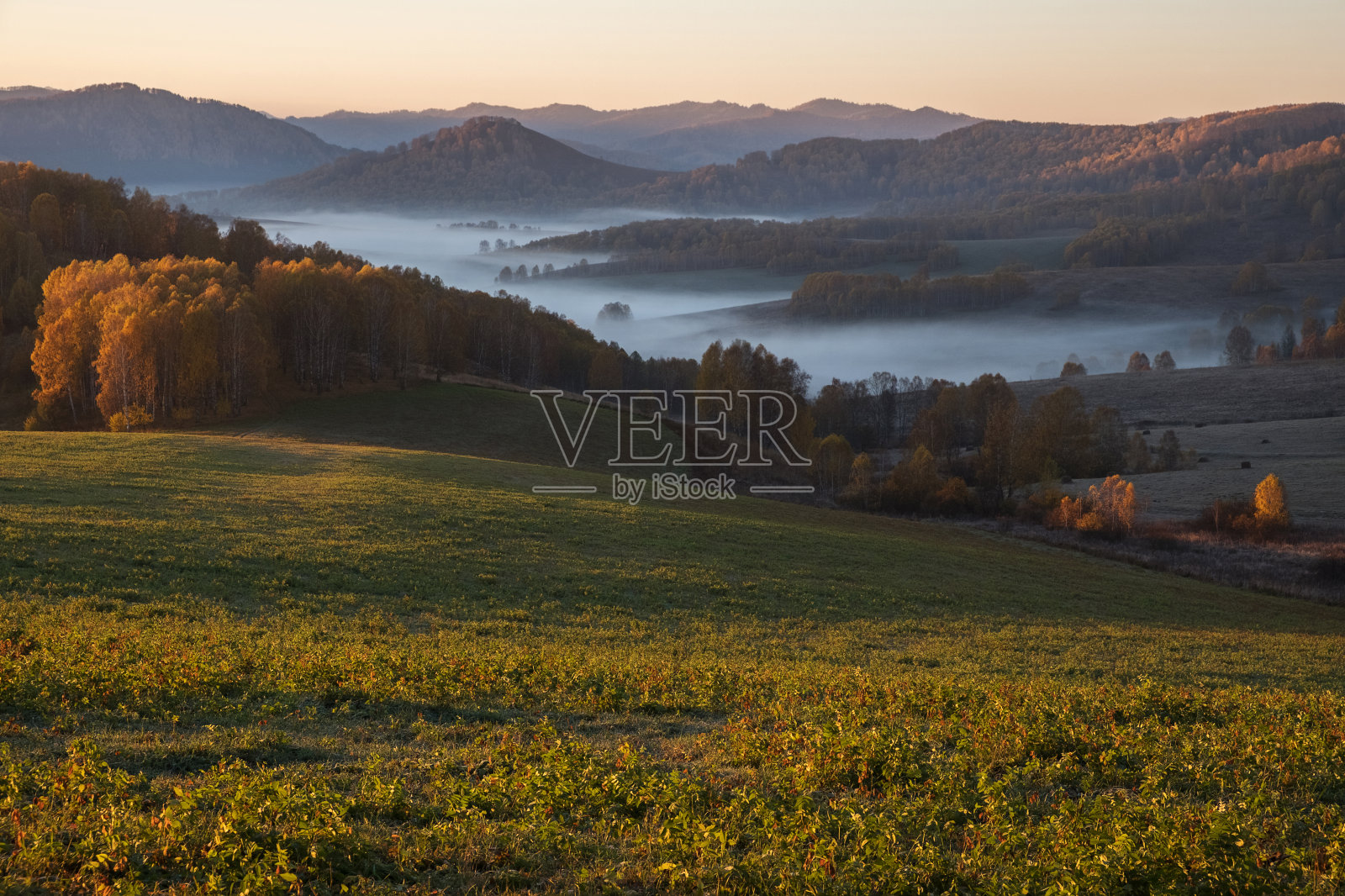 日出，绿色的田野和黄色的森林照片摄影图片