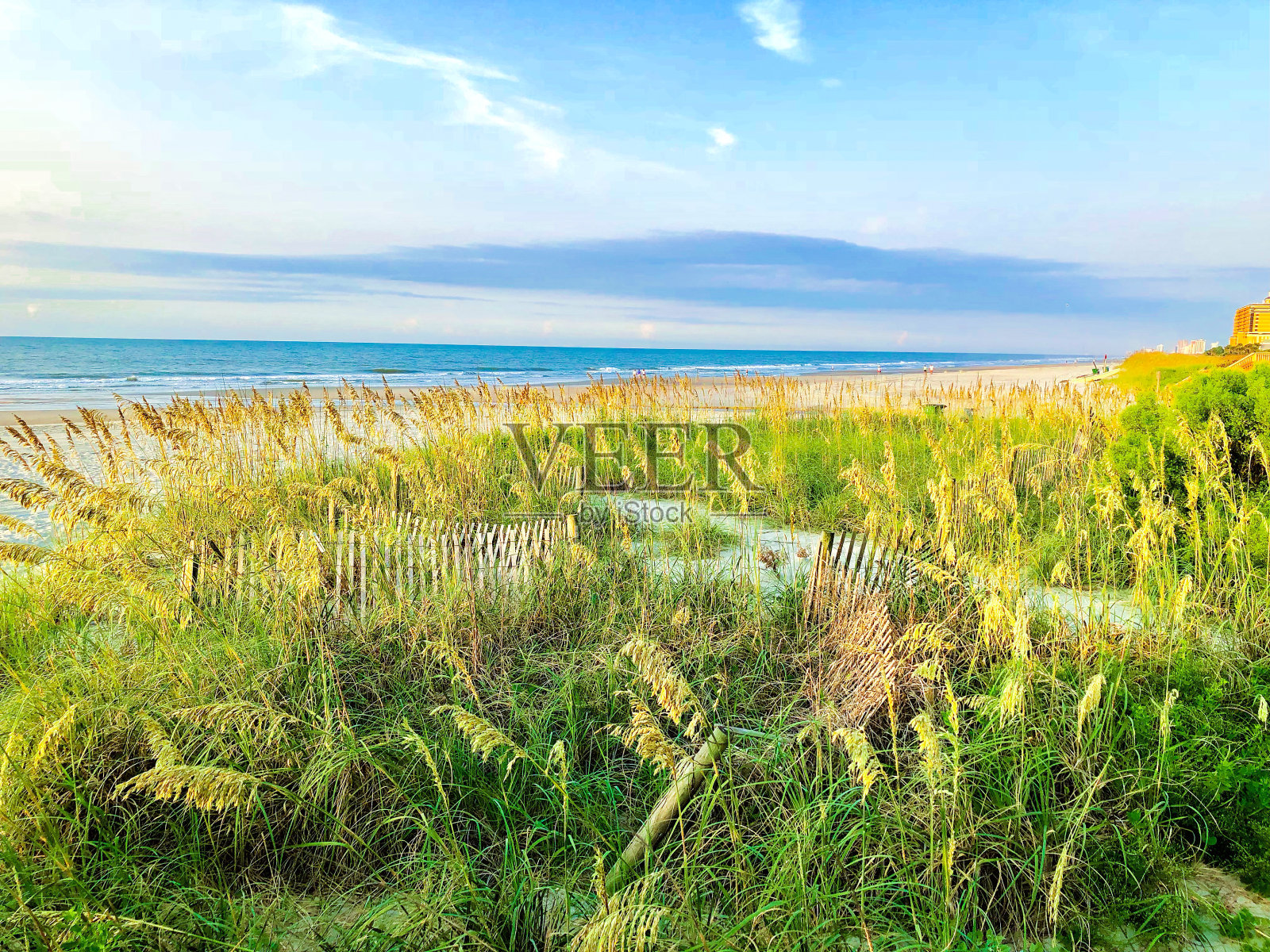 从海岸看海滩照片摄影图片