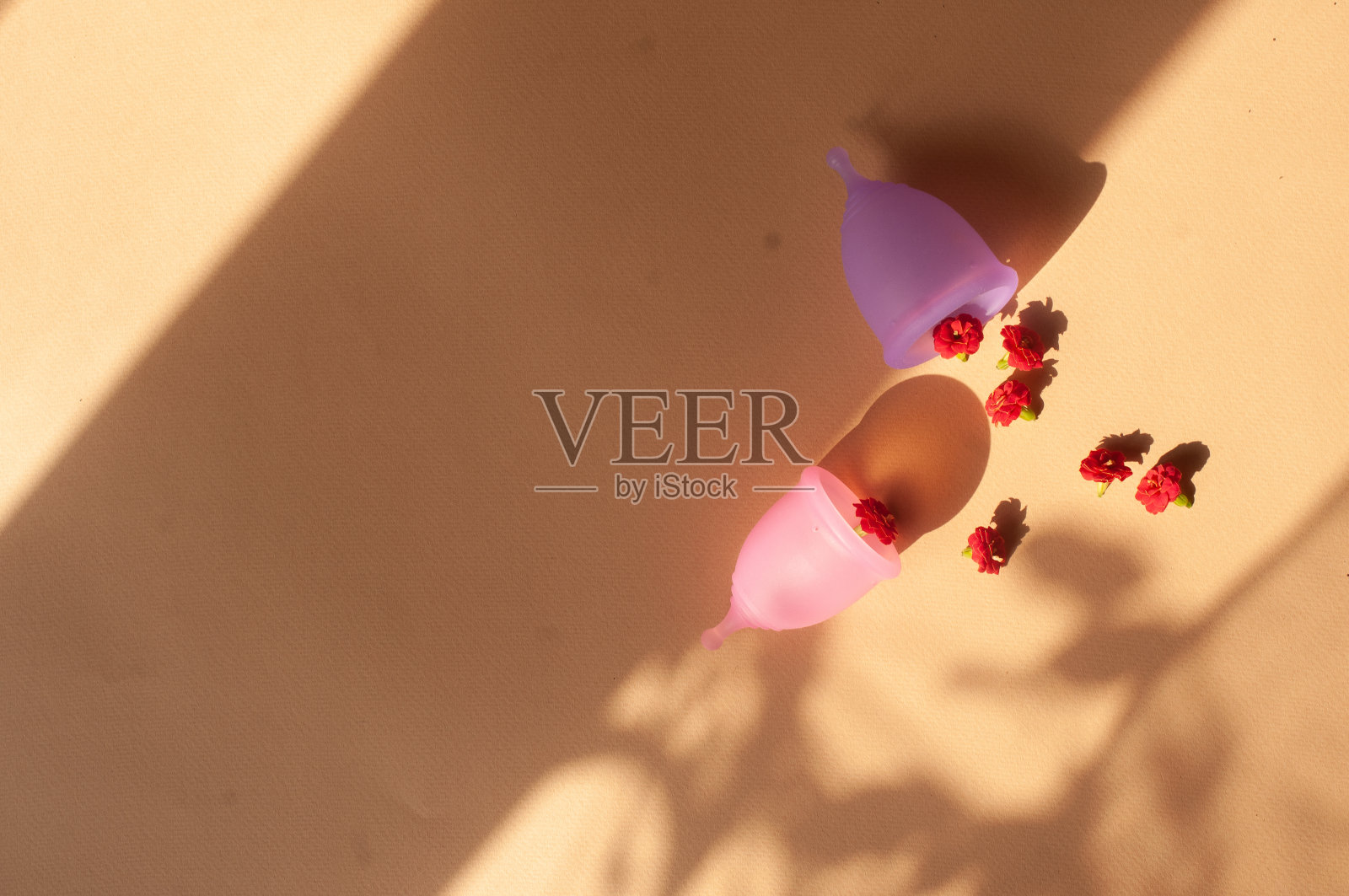 月经杯期自然背景俯视图平铺负空间照片摄影图片