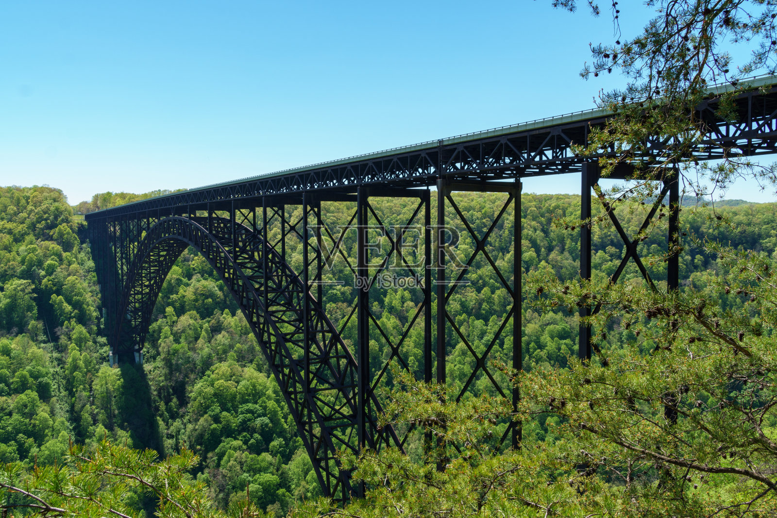 新河峡大桥的跨度与松树前景照片摄影图片