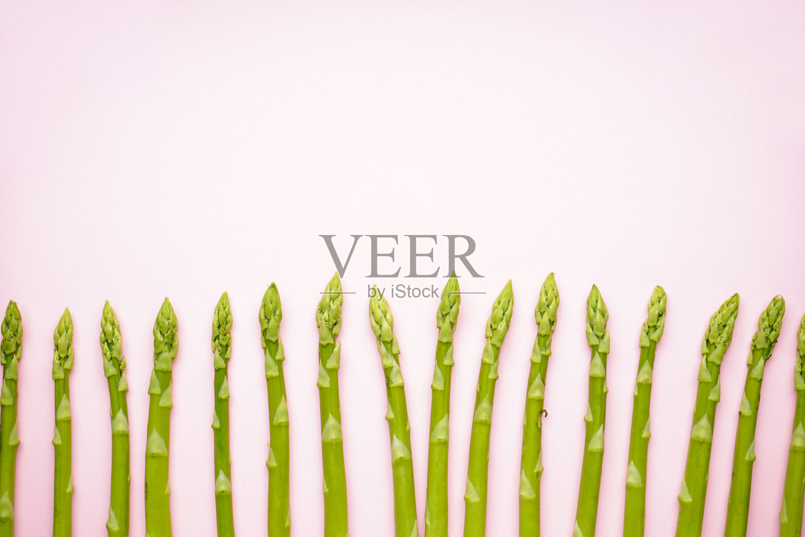 鲜绿芦笋，以粉红色为底色，平放。空间的文本。照片摄影图片