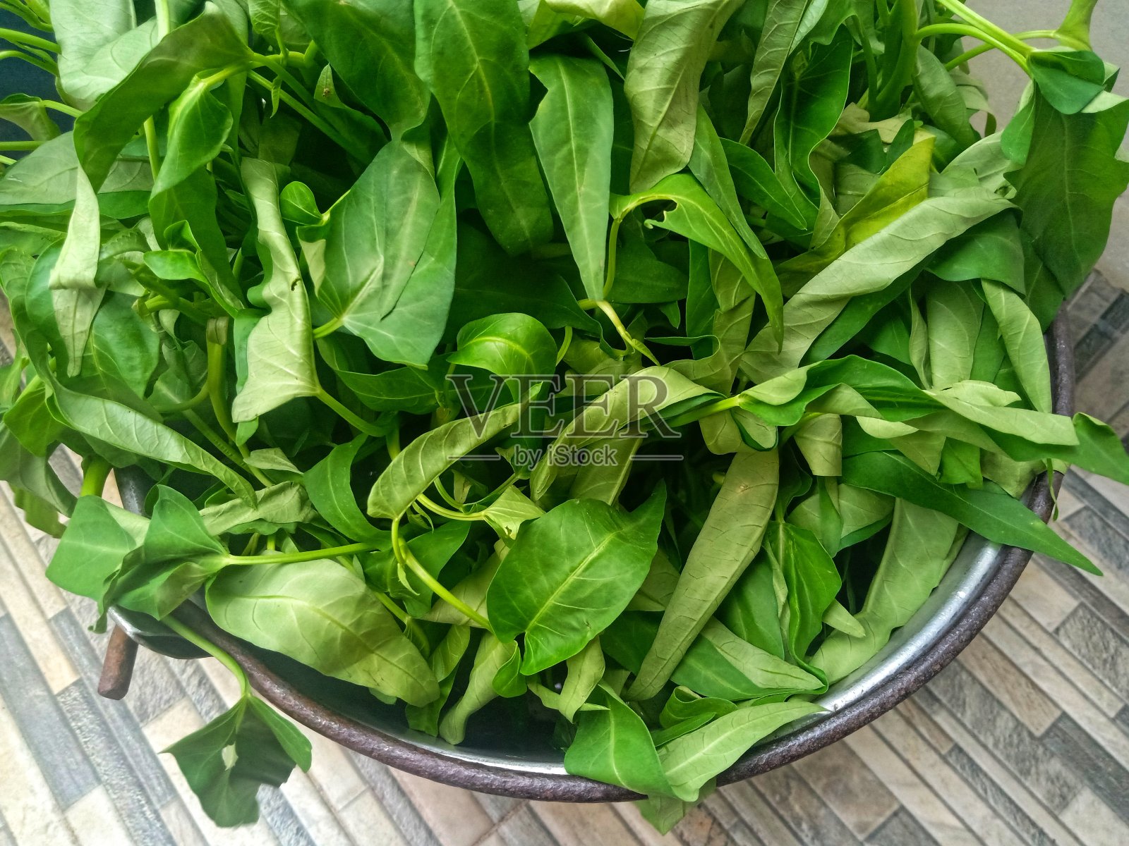 不锈钢容器中的羽衣甘蓝照片摄影图片