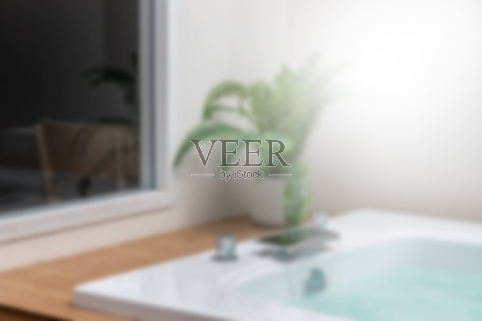 模糊的美丽的白色浴缸与蕨类照片摄影图片