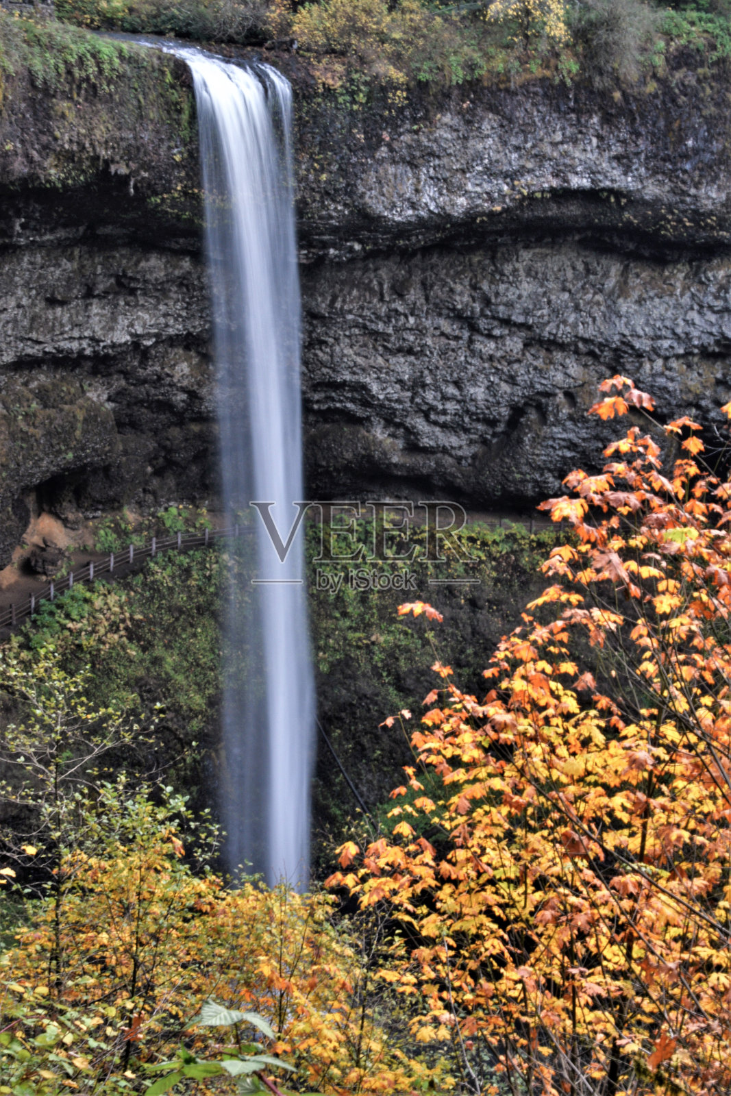银瀑州立公园照片摄影图片