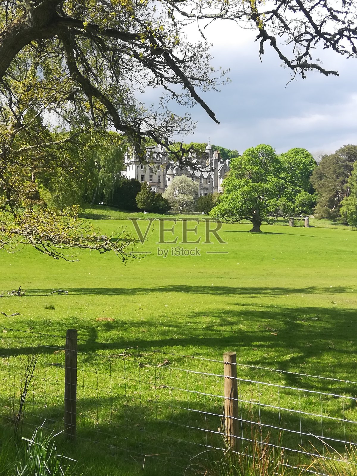 明星回家照片摄影图片