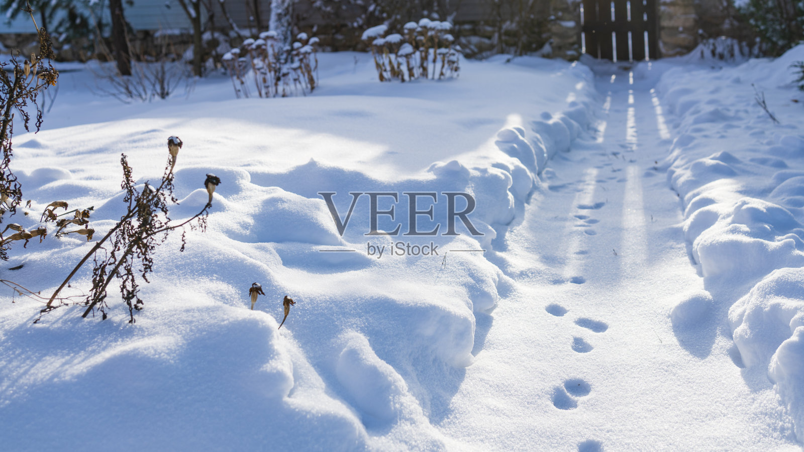 阳光明媚的冬日雪地上的小路照片摄影图片