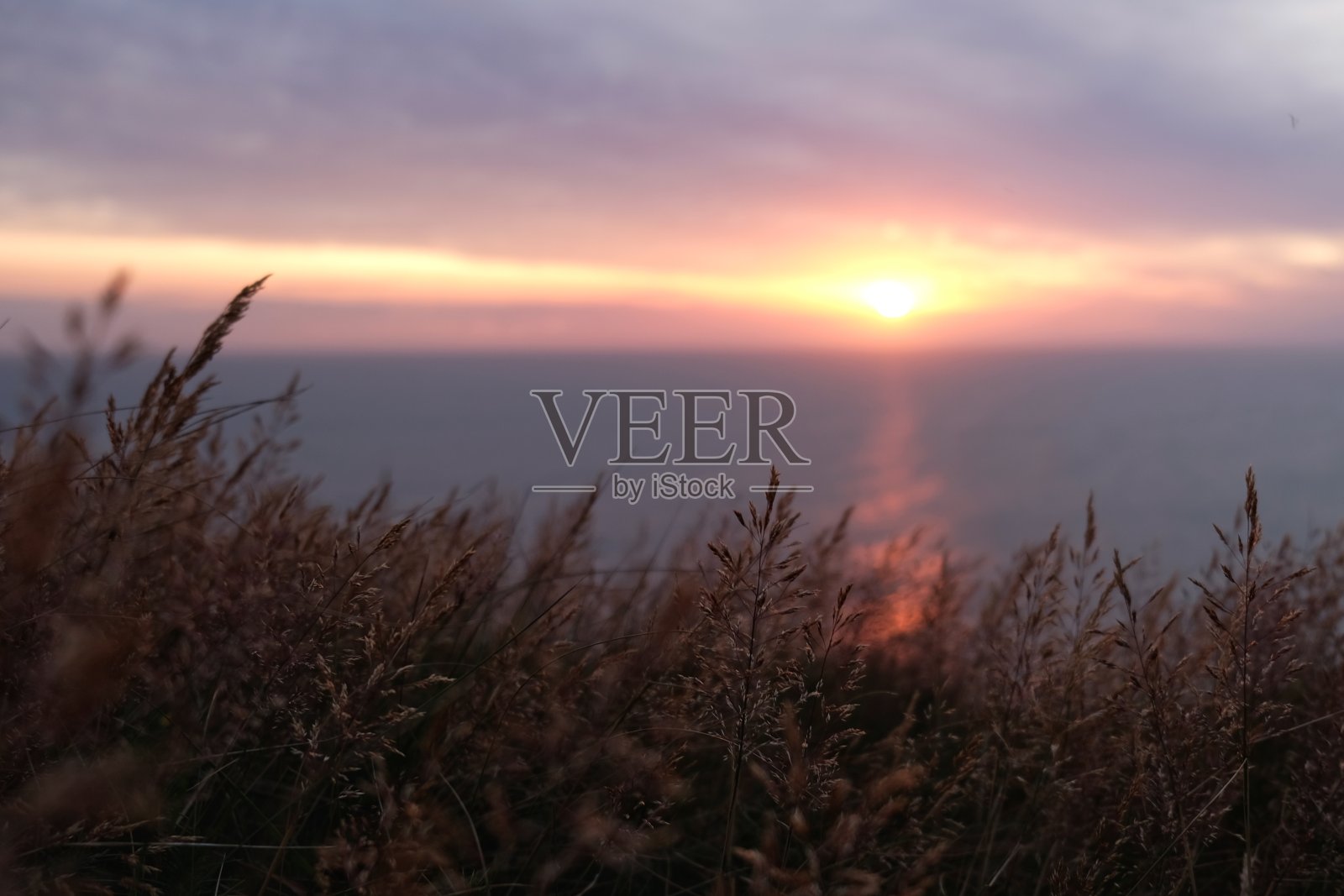 日落与谷物照片摄影图片