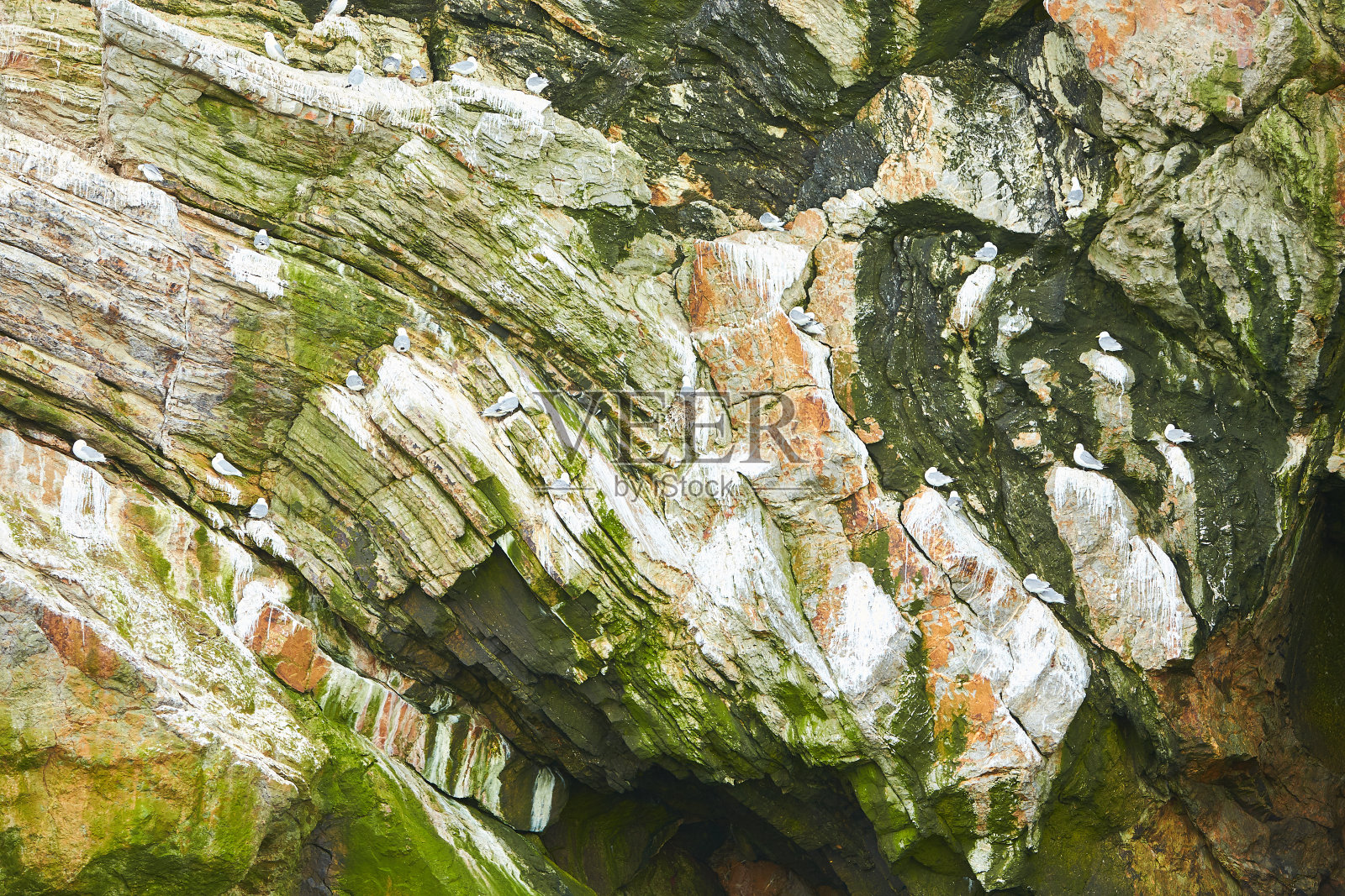 岩石表面的苔藓。浮雕和纹理的石头与图案和苔藓。石头自然背景。石头和苔藓。照片摄影图片