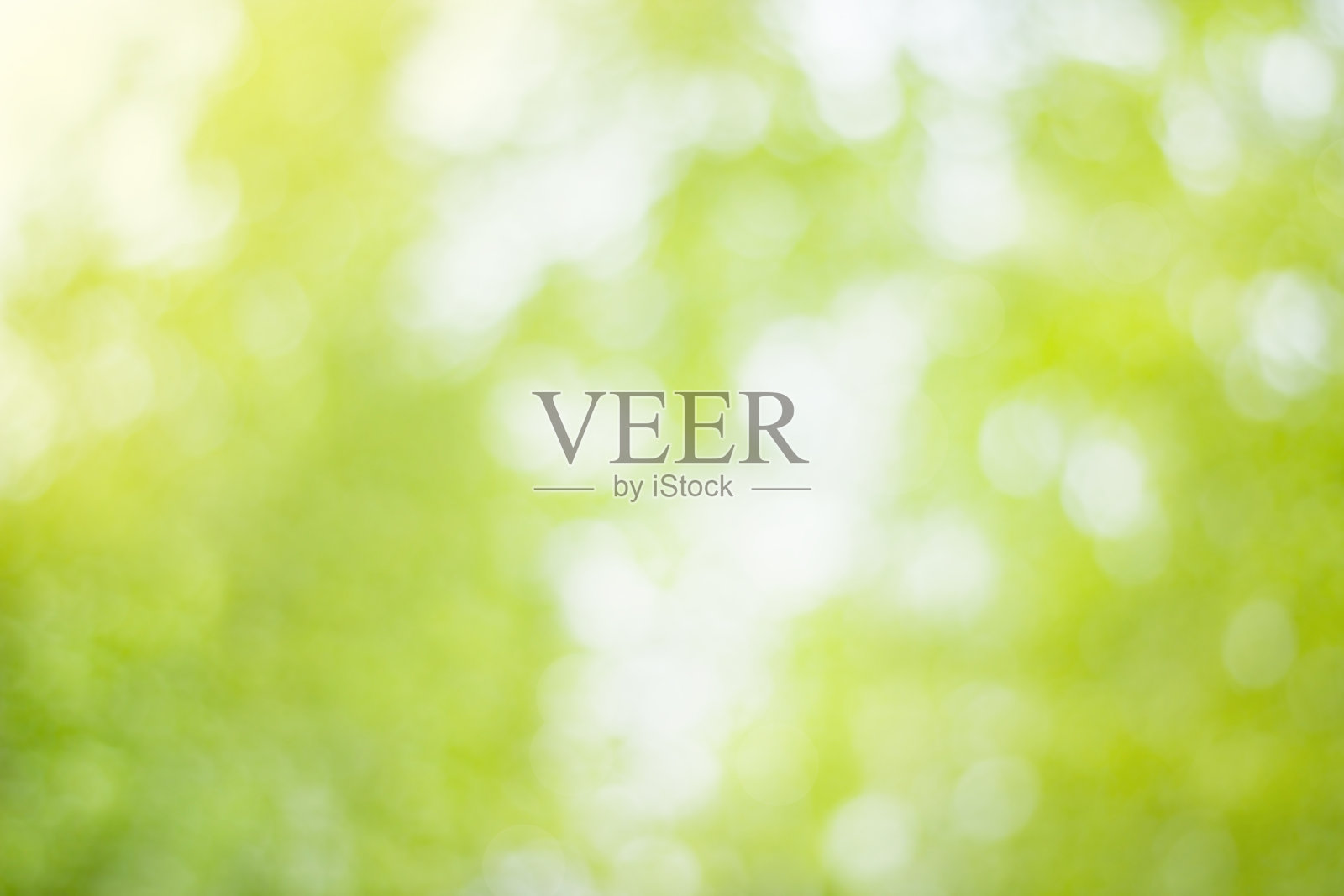 抽象模糊的背景。绿色背景上的白色黄色斑点。散焦自然散景。树叶的太阳射线。概念设计照片摄影图片