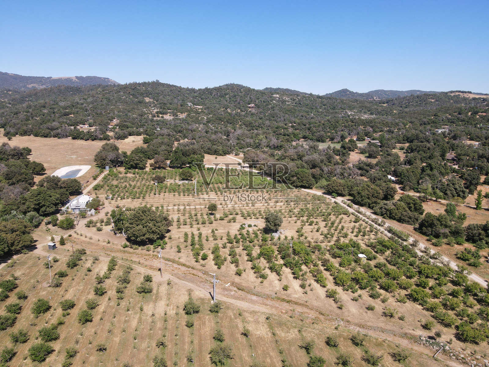 朱利安苹果树地鸟瞰图，该镇以苹果和苹果派而闻名。美国加州照片摄影图片