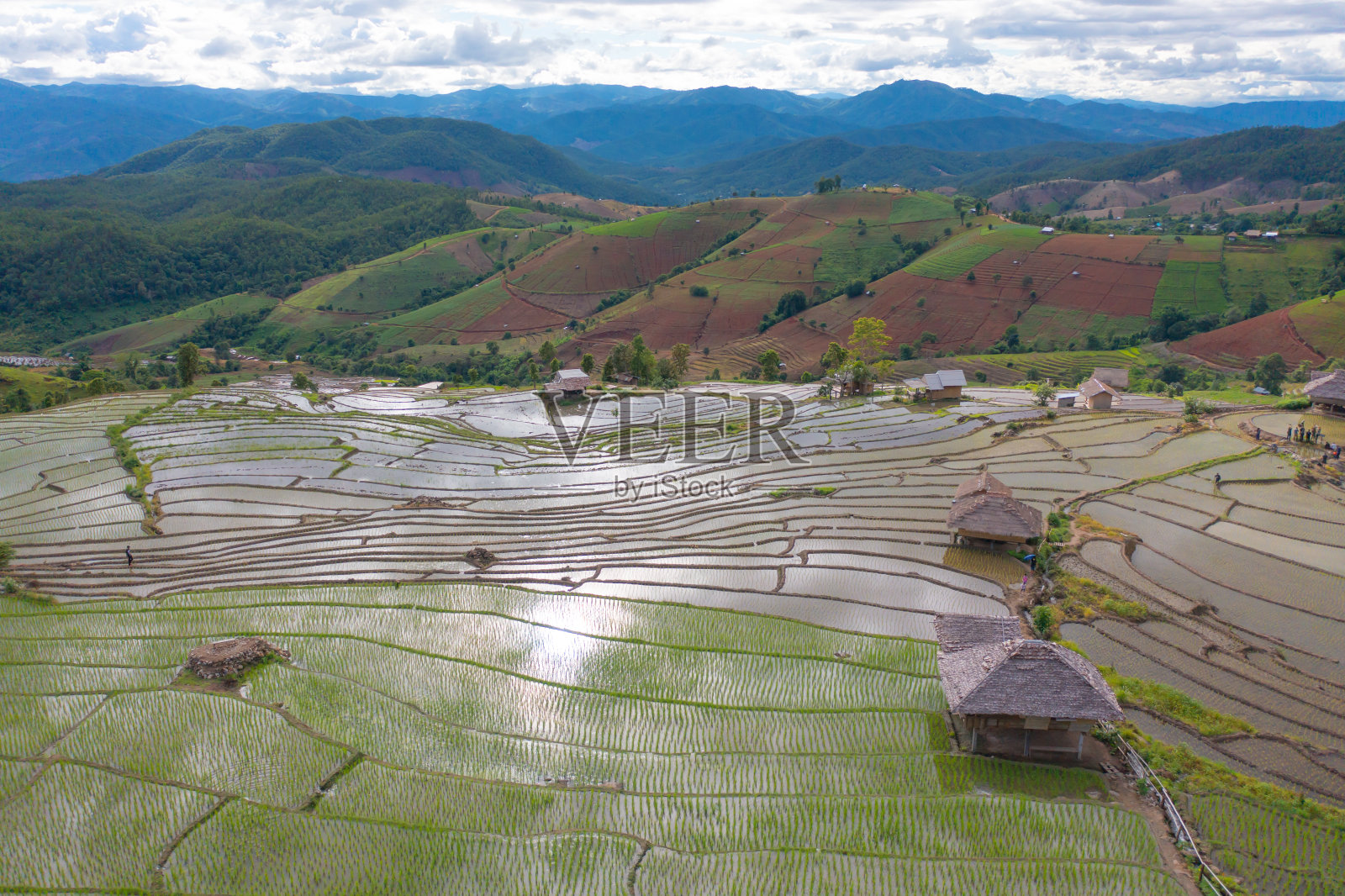 鸟瞰图水稻梯田与水反射，绿色农田在农村，山丘陵山谷，帕邦平，泰国清迈。自然景观。农作物的收成。照片摄影图片